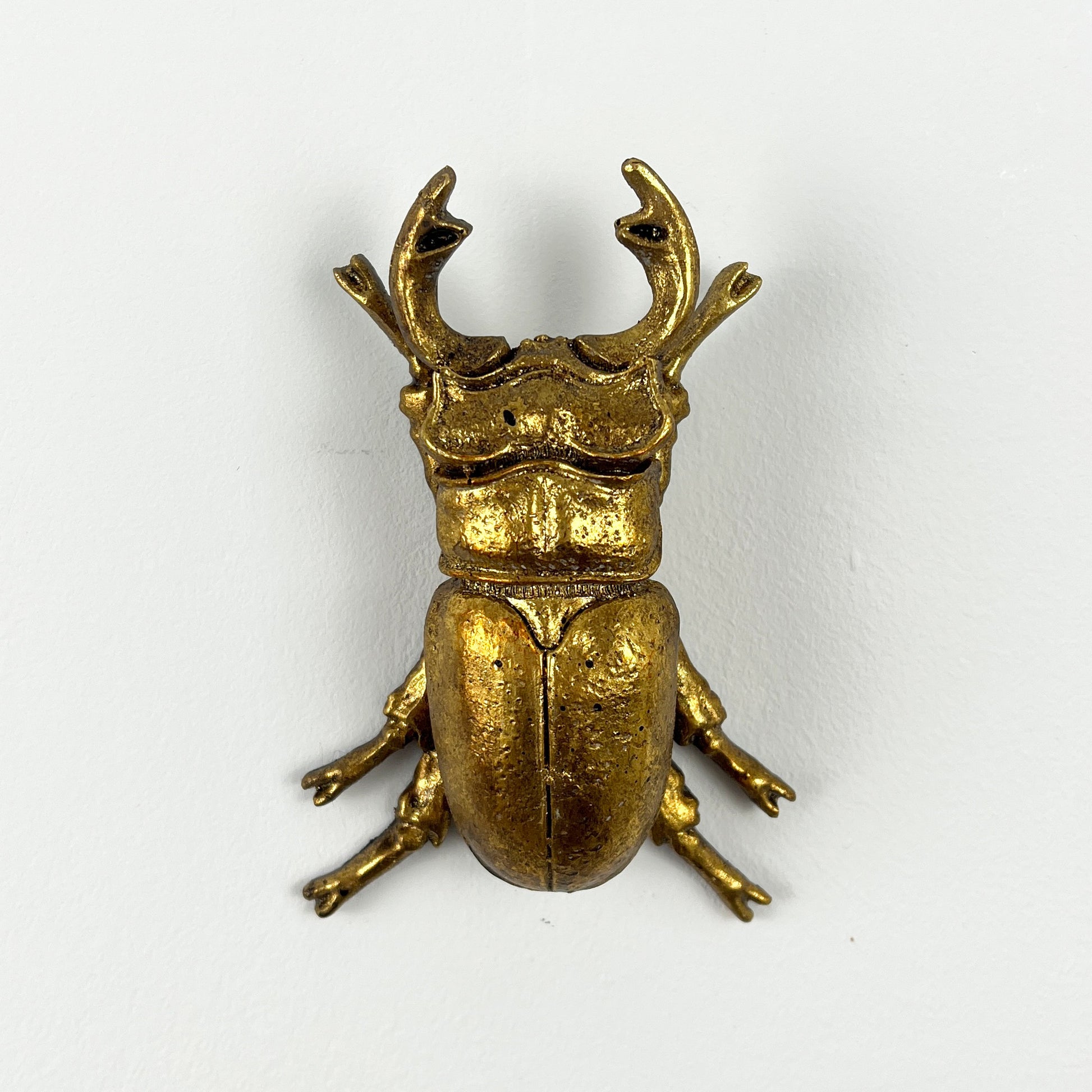 13.5cm Stag Beetle Wall Art Decoration - Gold