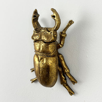 13.5cm Stag Beetle Wall Art Decoration - Gold