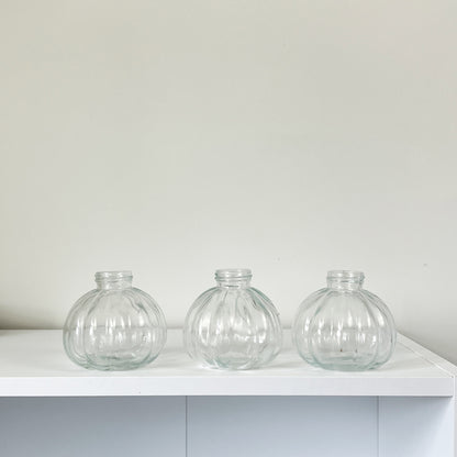 Set of 3 Ribbed Bulb Glass Bud Vases - Clear