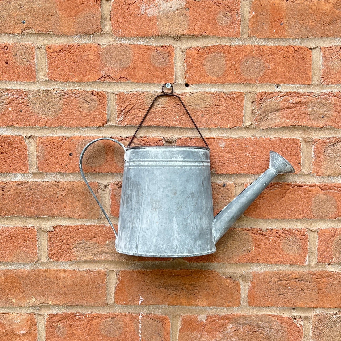 Watering Can Wall Planter