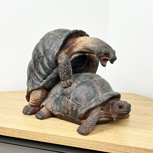 Cheeky Mating Tortoises Ornament - Resin