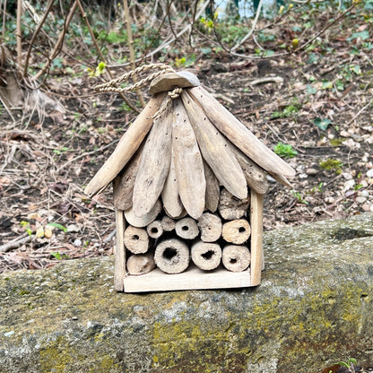Driftwood Insect Hotel