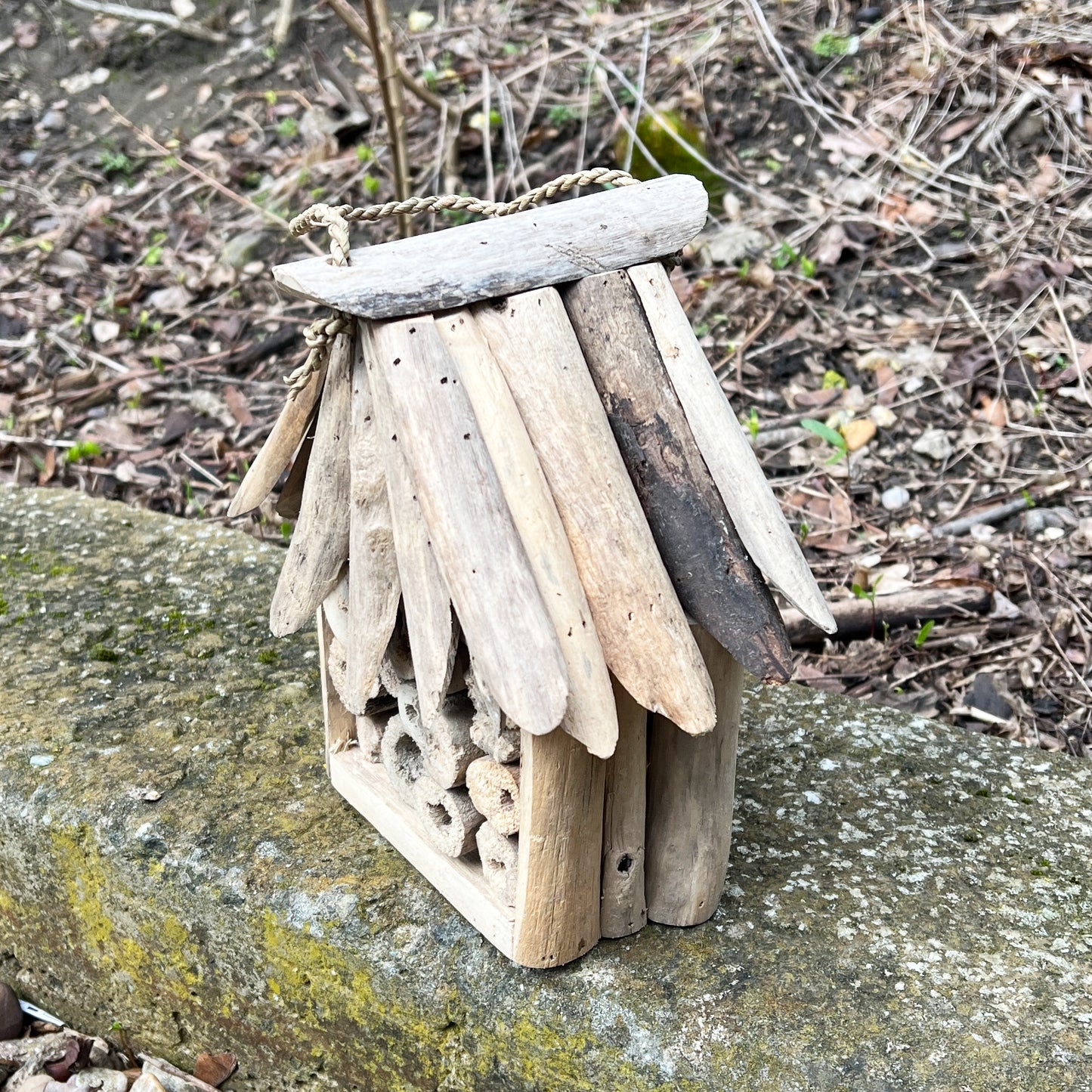 Driftwood Insect Hotel