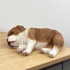 Sleeping British Bulldog Ornament - Resin