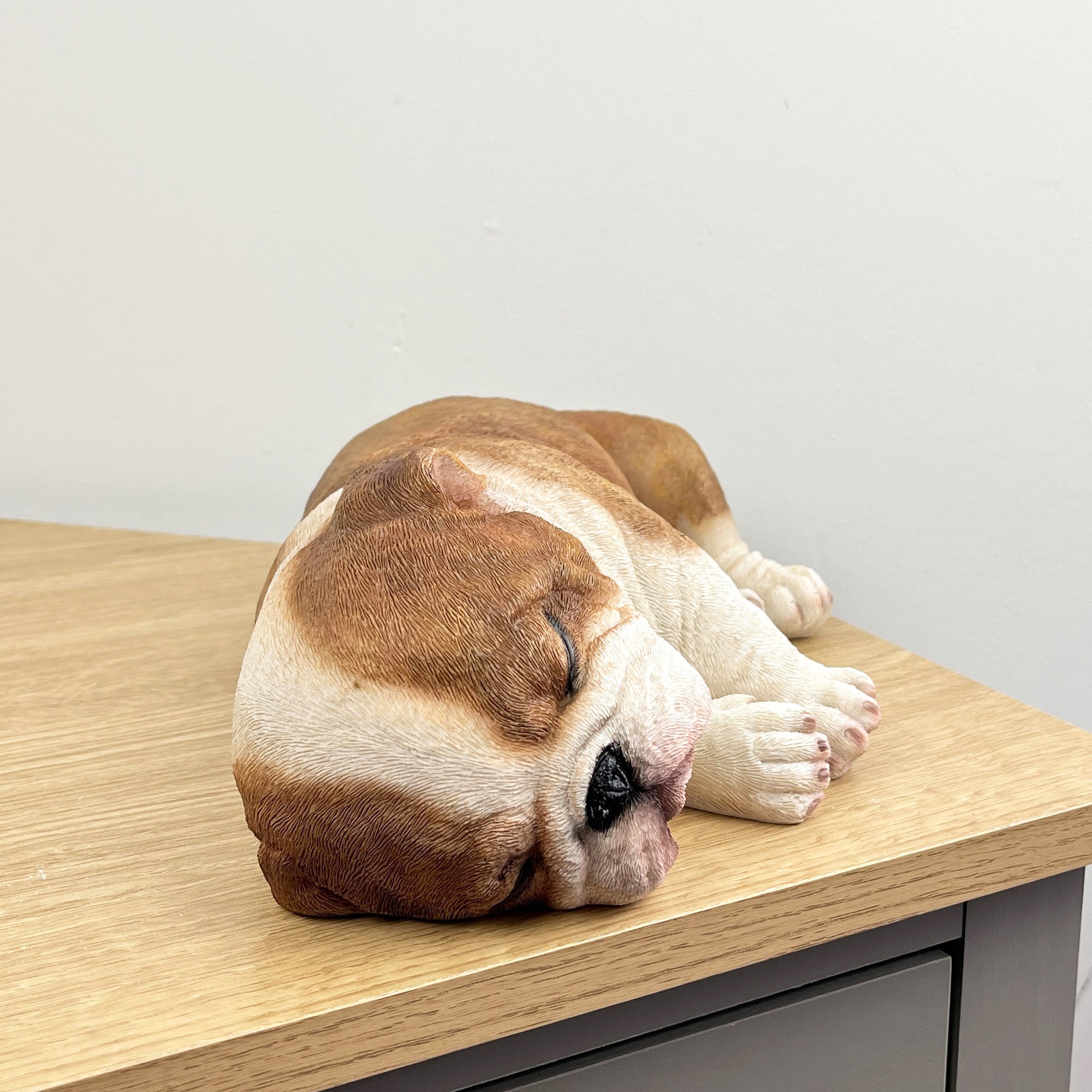 Sleeping British Bulldog Ornament - Resin