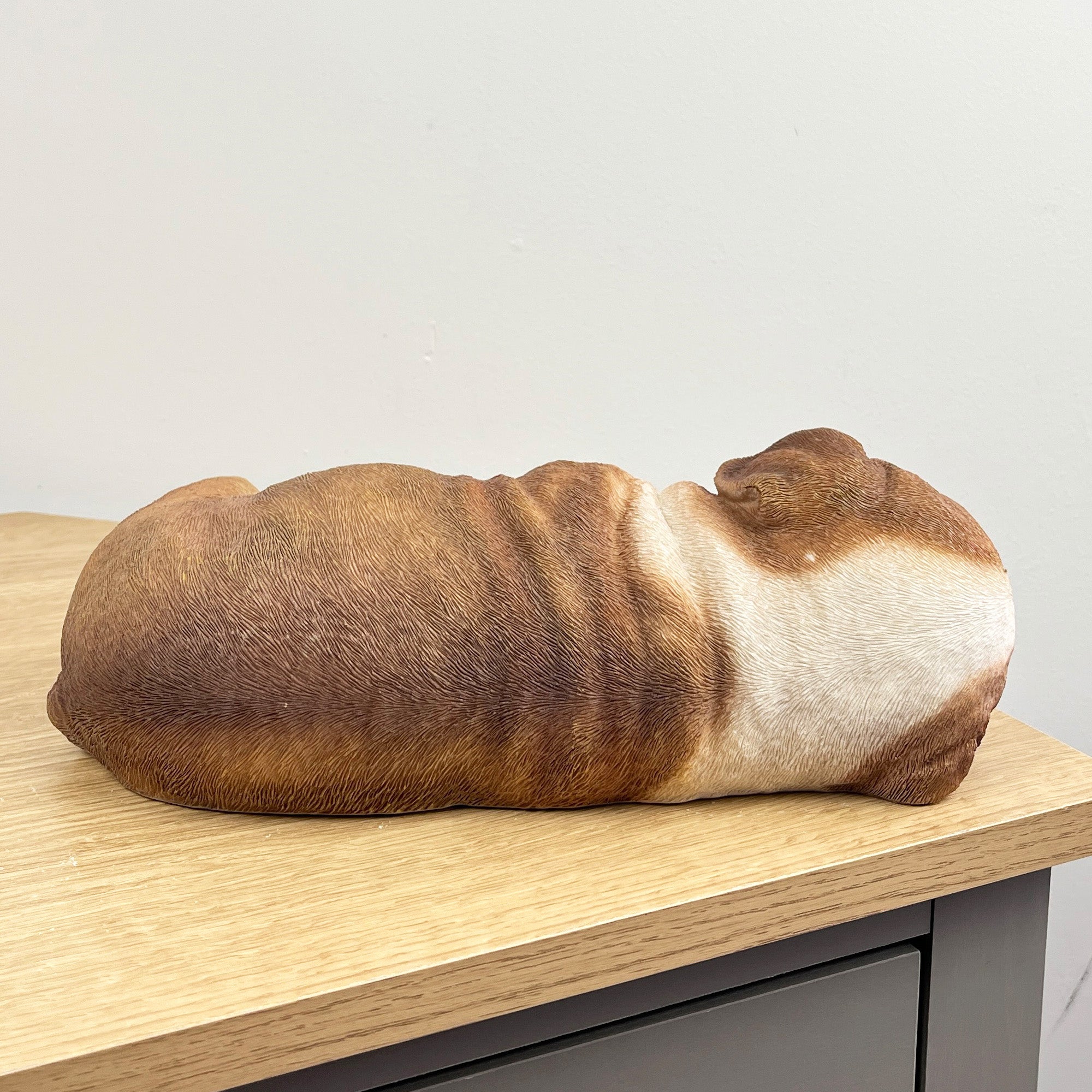 Sleeping British Bulldog Ornament - Resin