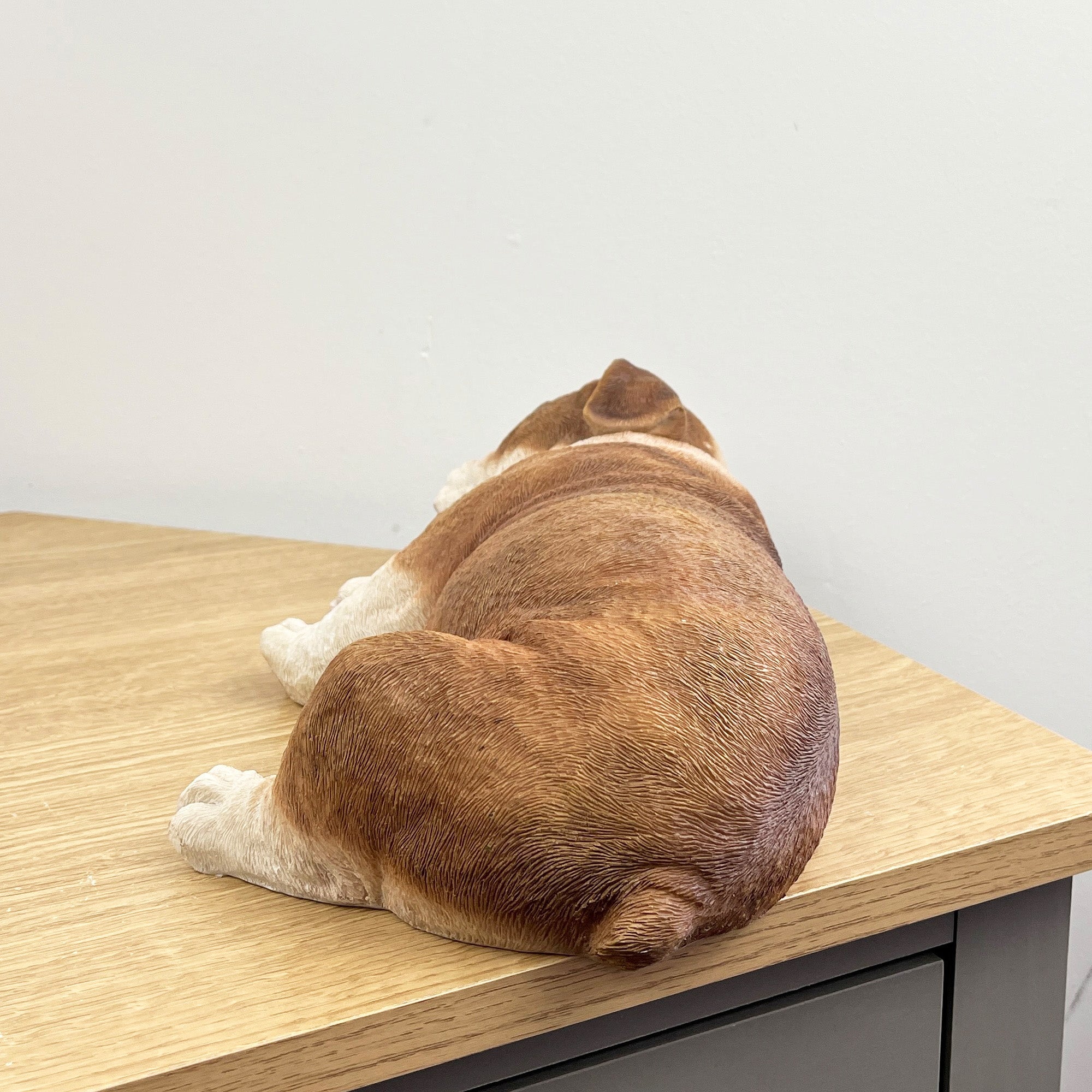Sleeping British Bulldog Ornament - Resin