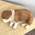 Sleeping British Bulldog Ornament - Resin