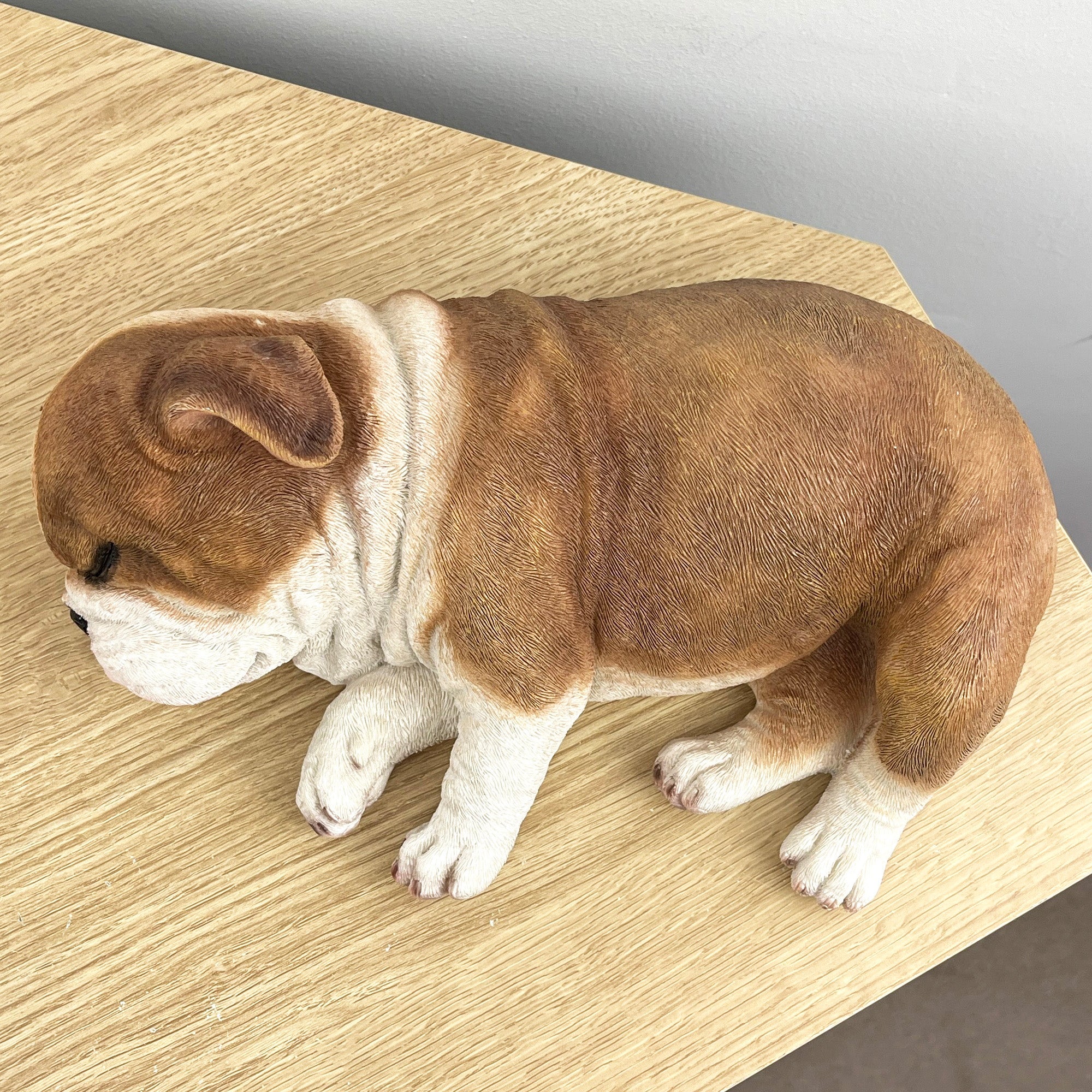 Sleeping British Bulldog Ornament - Resin