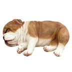 Sleeping British Bulldog Ornament - Resin
