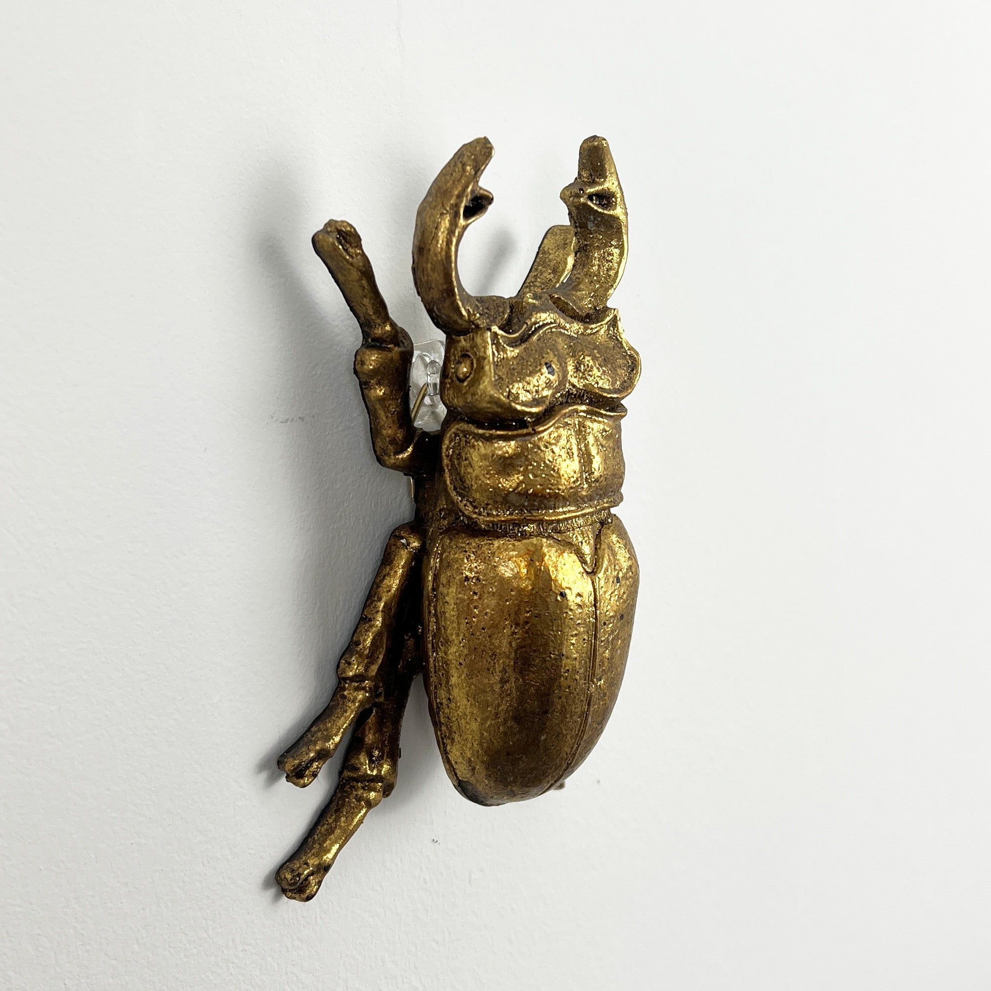 13.5cm Stag Beetle Wall Art Decoration - Gold