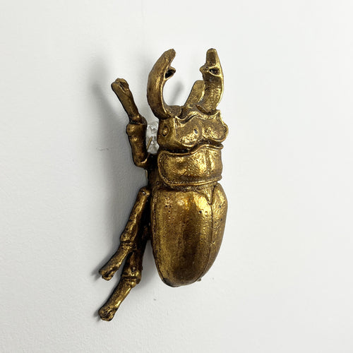 13.5cm Stag Beetle Wall Art Decoration - Gold