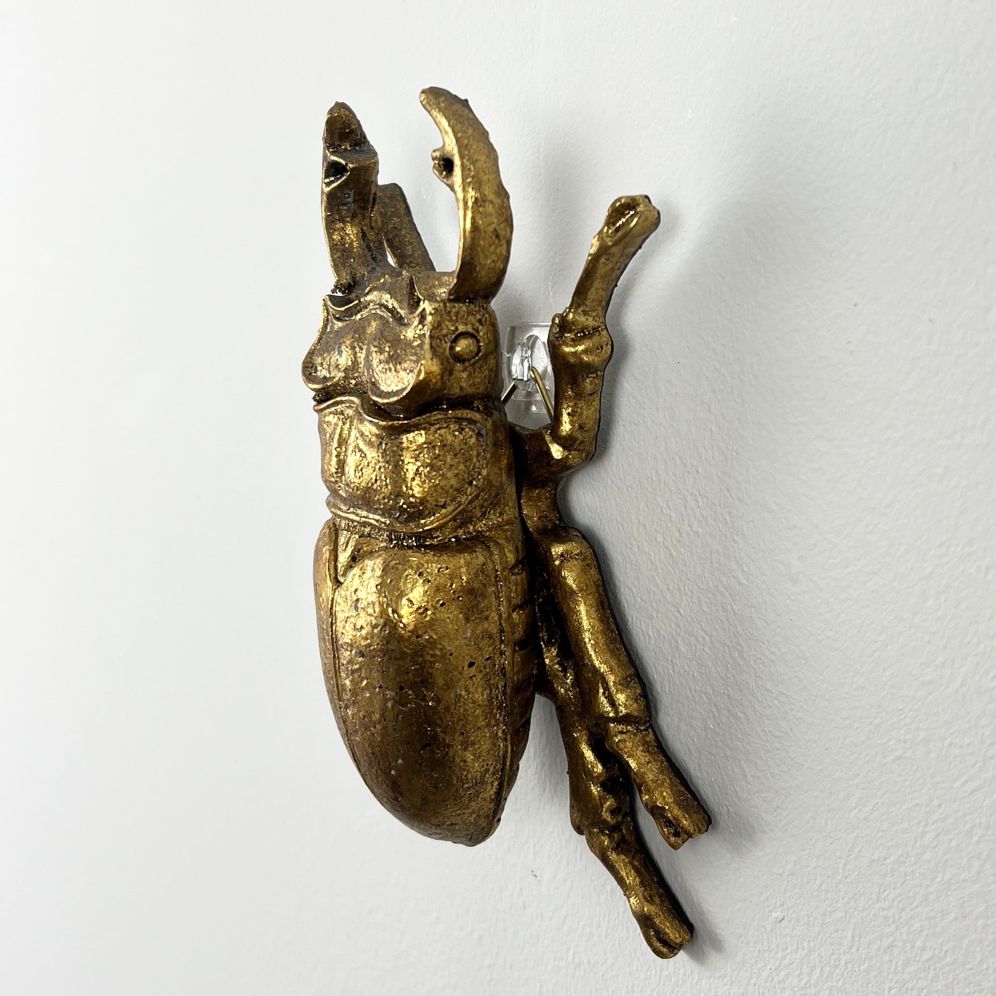13.5cm Stag Beetle Wall Art Decoration - Gold