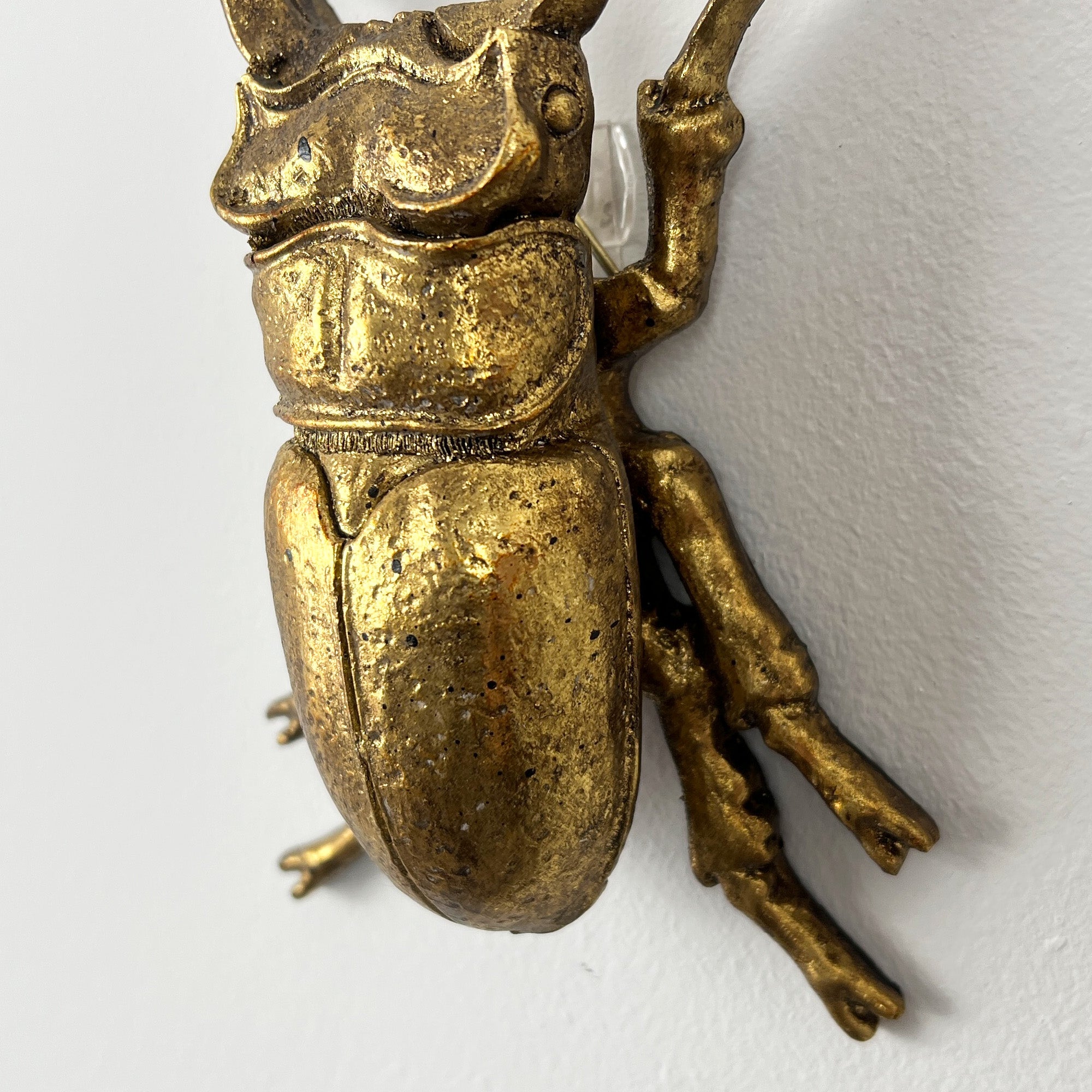 13.5cm Stag Beetle Wall Art Decoration - Gold