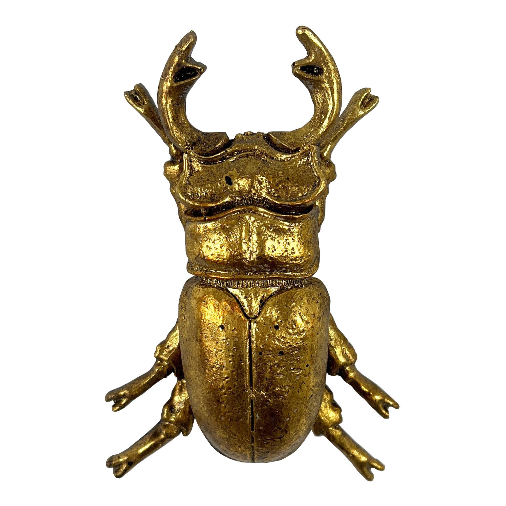 13.5cm Stag Beetle Wall Art Decoration - Gold