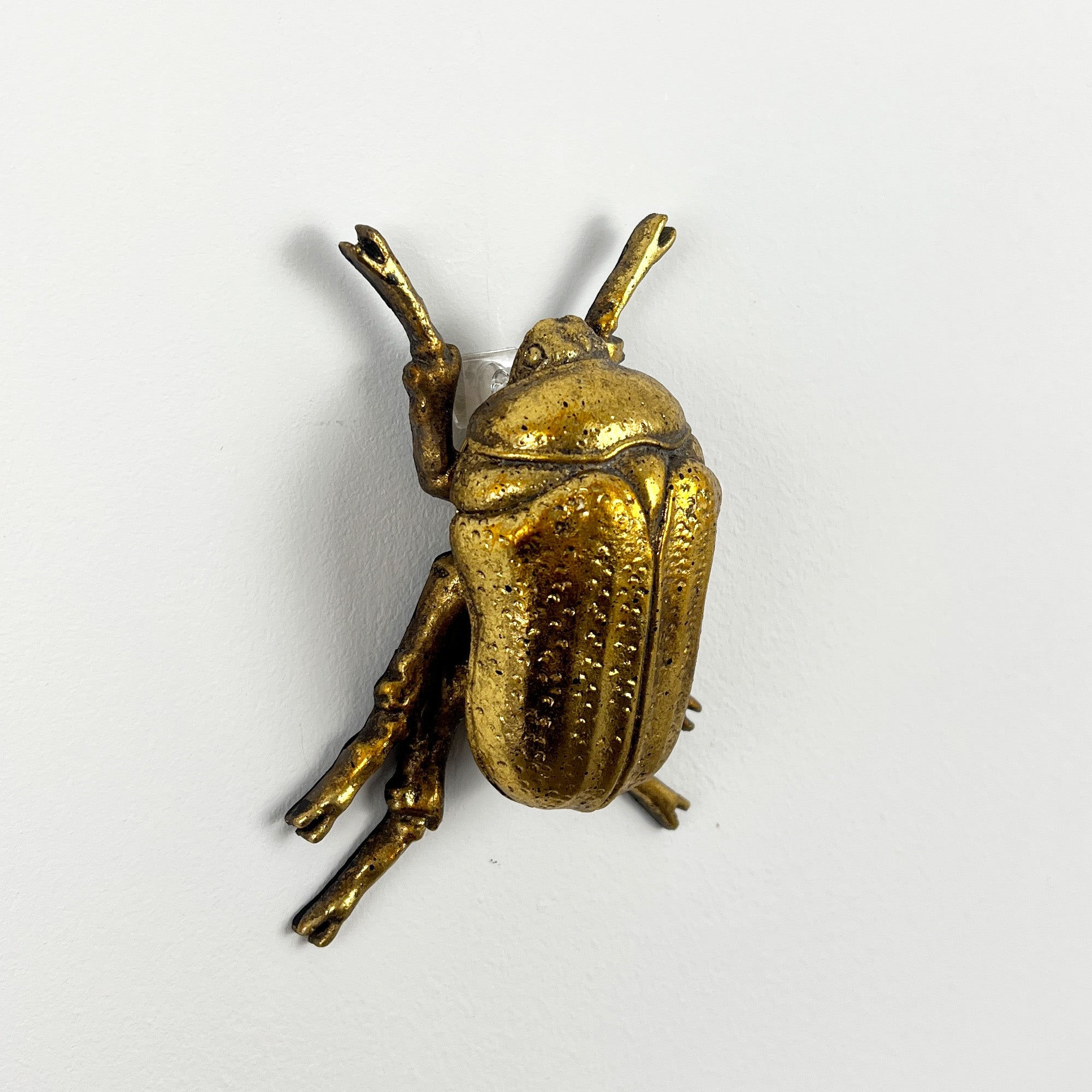 12cm Scarab Stag Beetle Wall Art Decoration - Gold