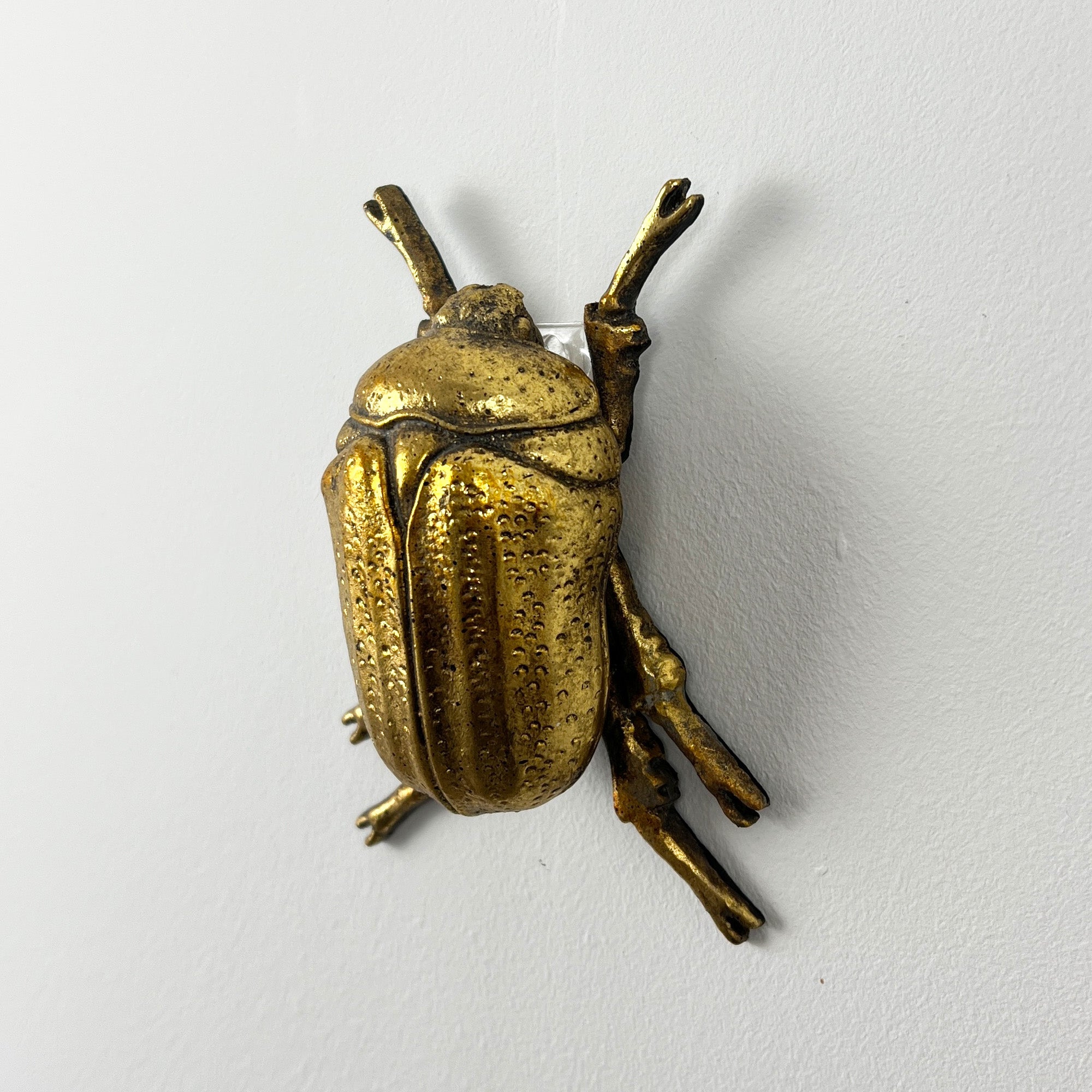 12cm Scarab Stag Beetle Wall Art Decoration - Gold