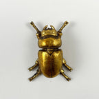 12cm Lady Stag Beetle Wall Art Decoration - Gold