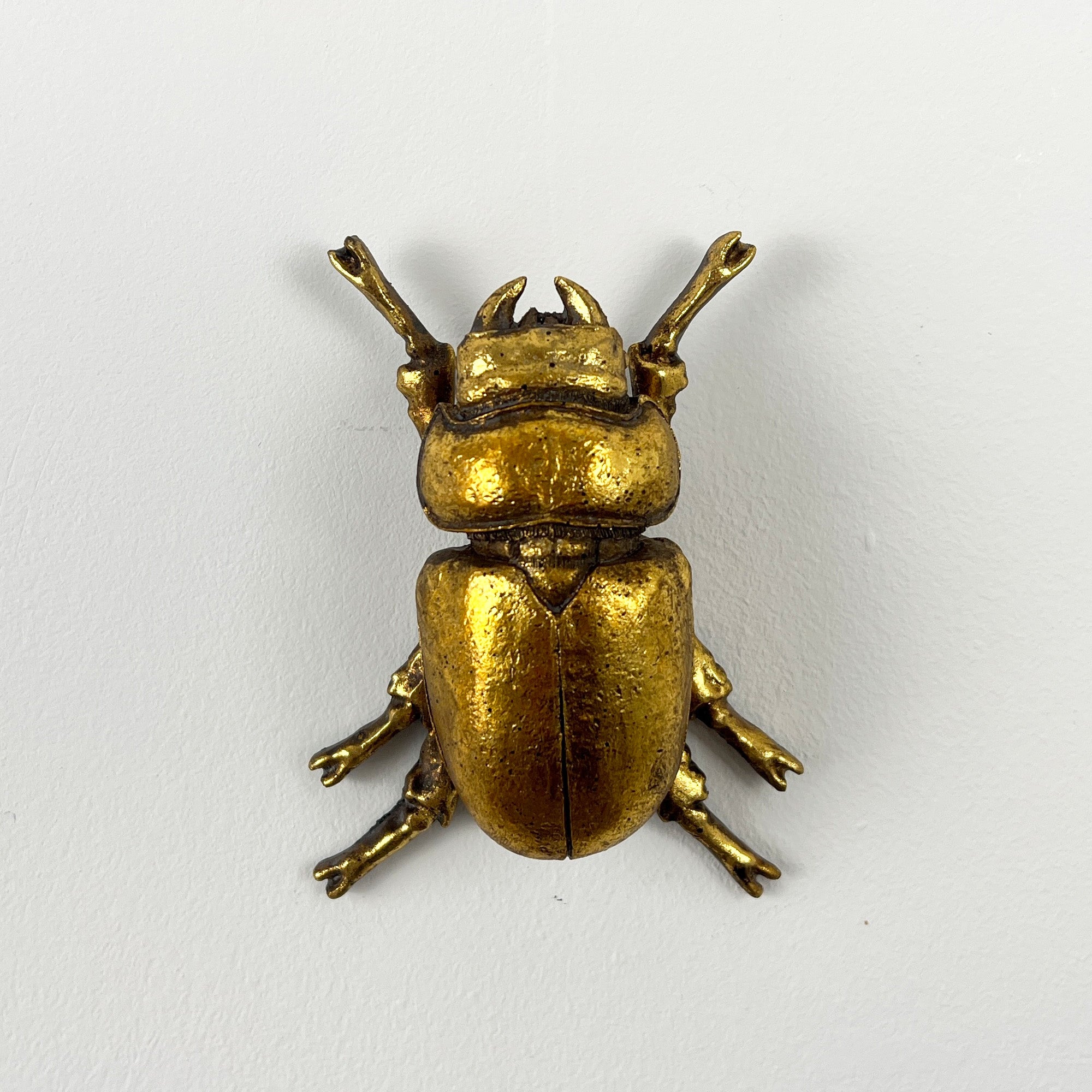 12cm Lady Stag Beetle Wall Art Decoration - Gold