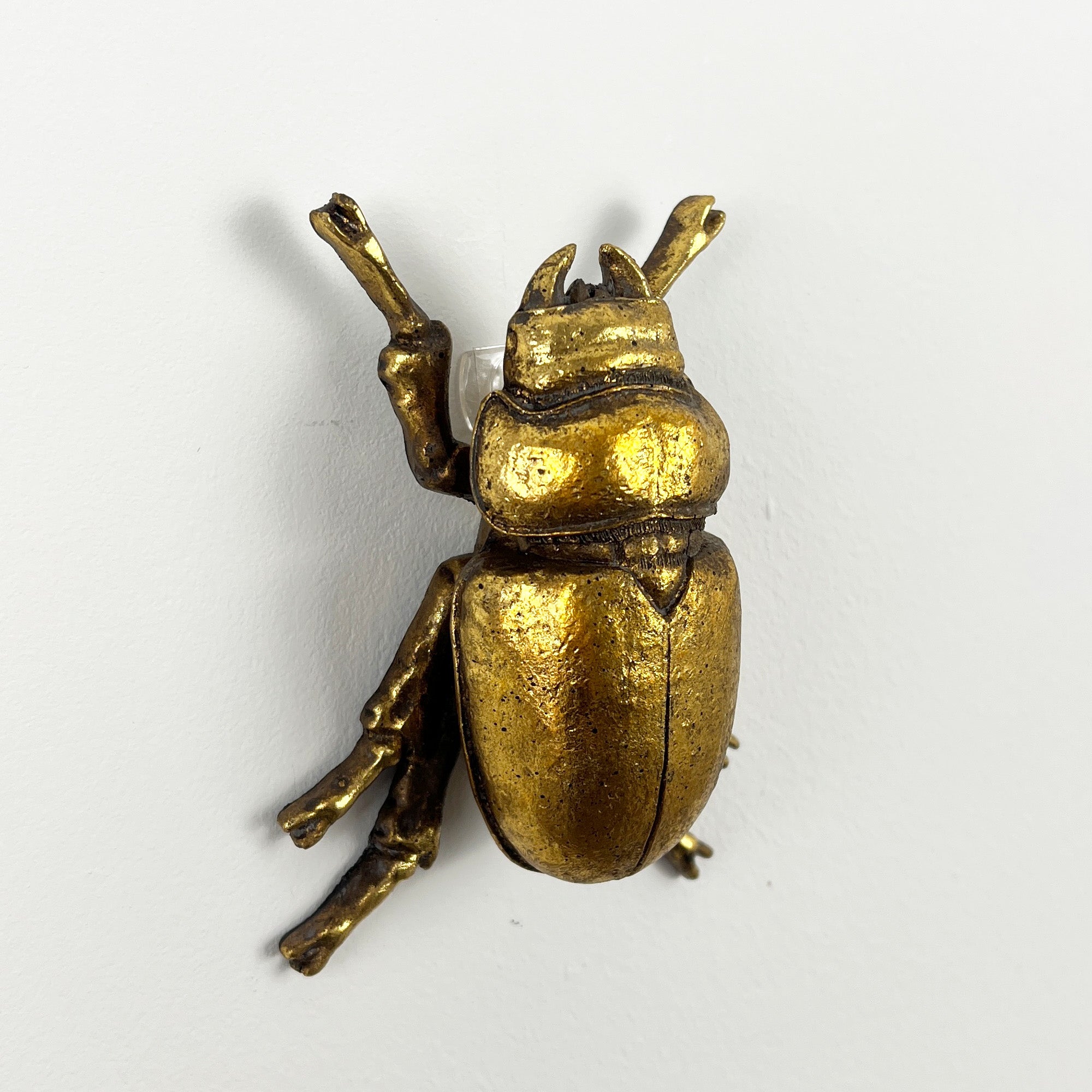 12cm Lady Stag Beetle Wall Art Decoration - Gold