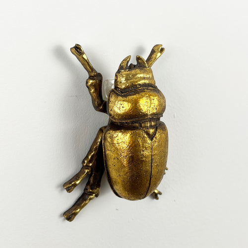 12cm Lady Stag Beetle Wall Art Decoration - Gold