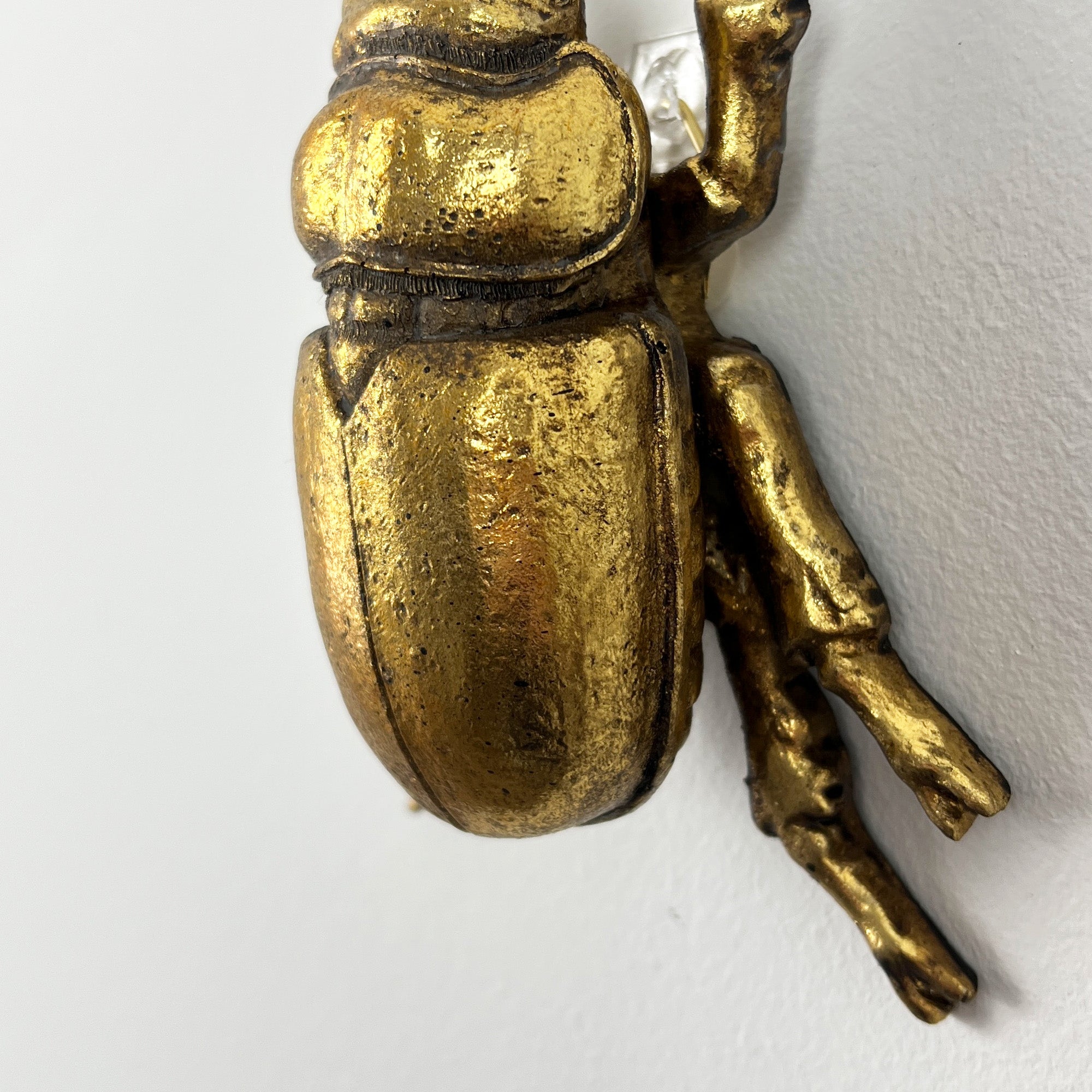 12cm Scarab Stag Beetle Wall Art Decoration - Gold