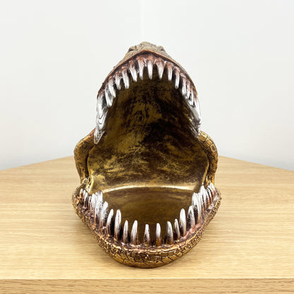 T-Rex Dinosaur Head Decoration – Resin