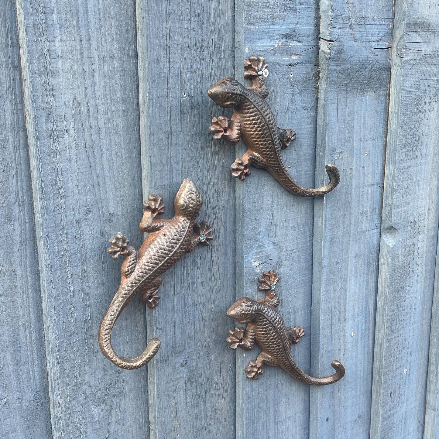 Set of 3 Cast Iron Gecko Wall Decorations