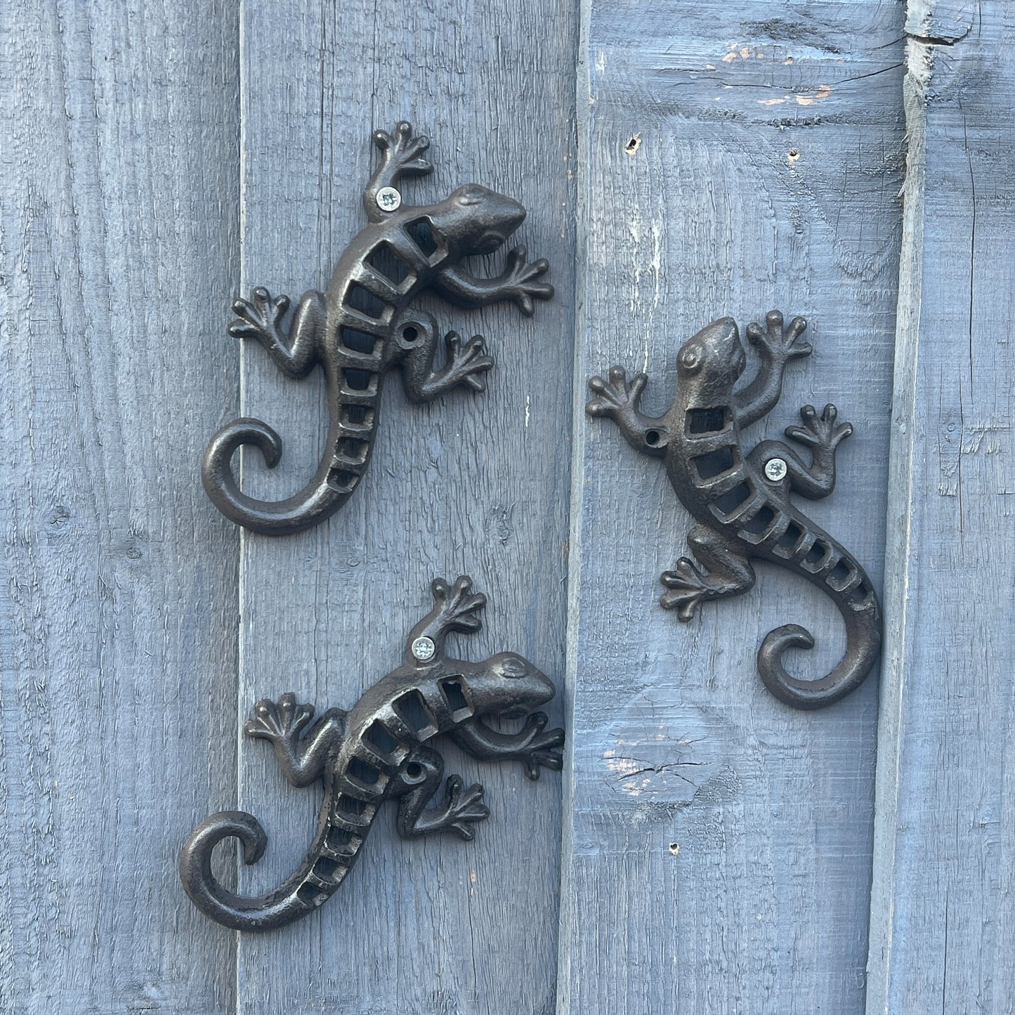 Set of 3 Small Gecko / Lizard Garden Wall Decorations