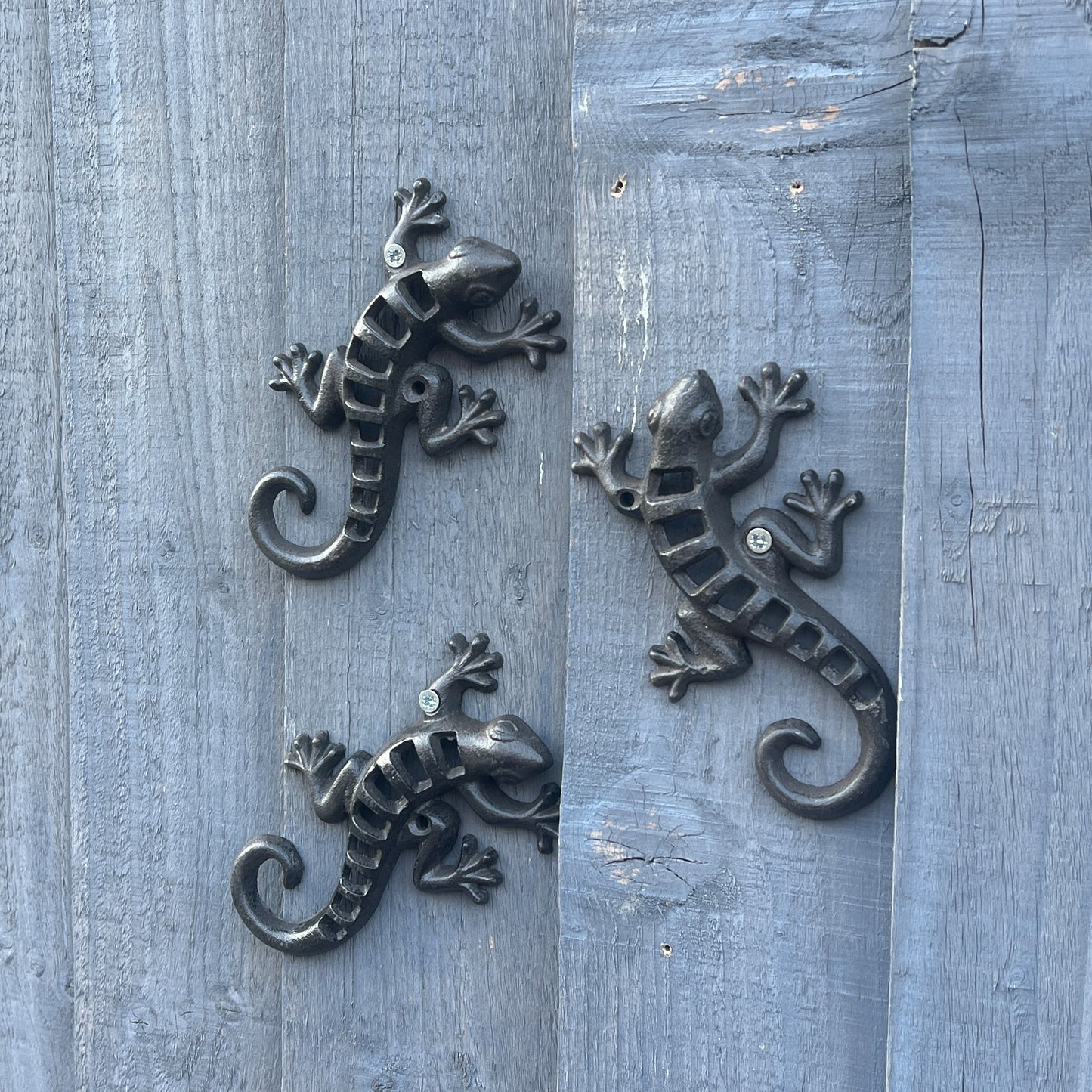 Set of 3 Small Gecko / Lizard Garden Wall Decorations