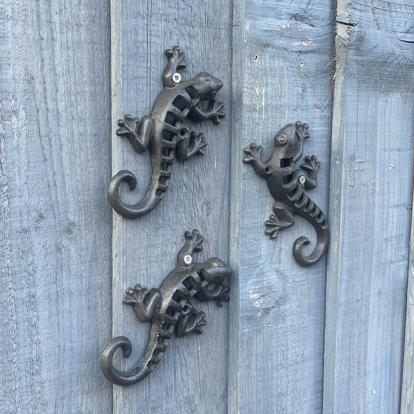 Set of 3 Small Gecko / Lizard Garden Wall Decorations