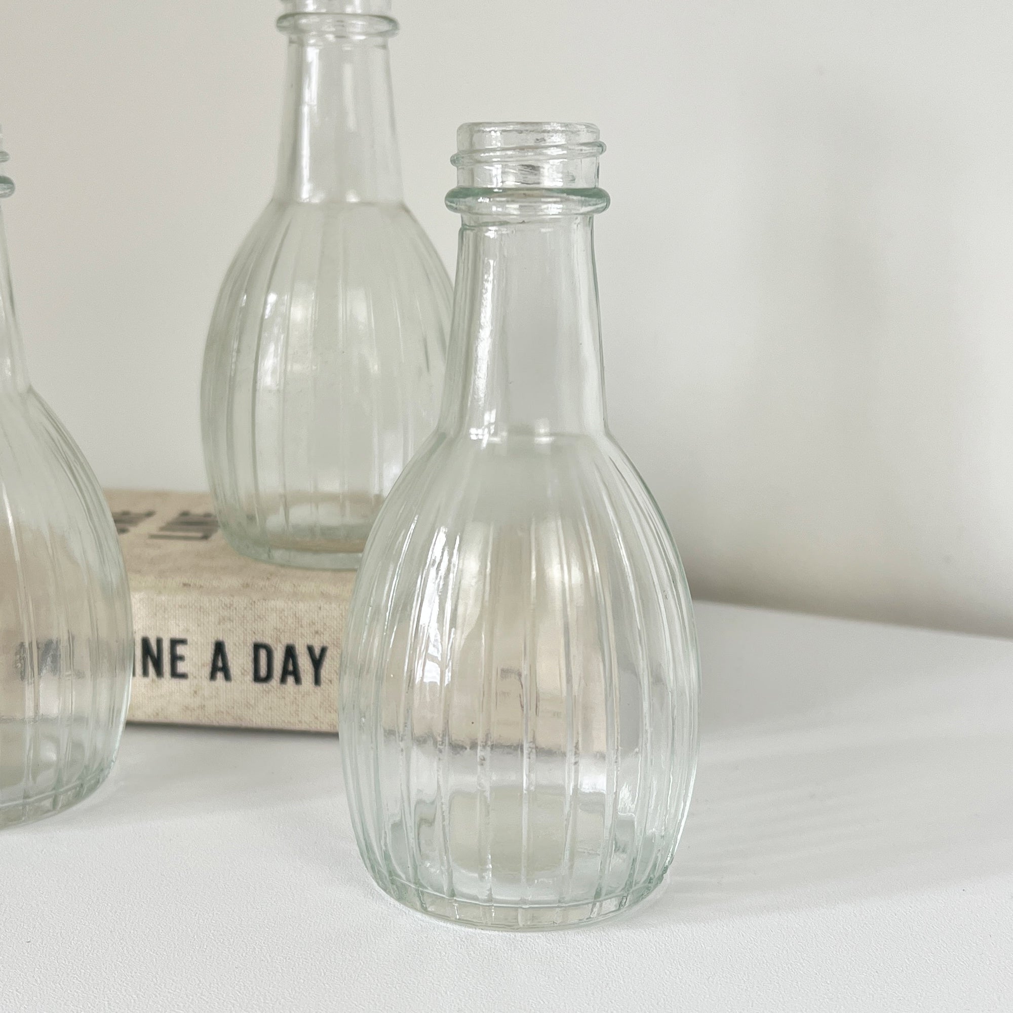 Set of 3 Ribbed Bottle Glass Bud Vases - Clear