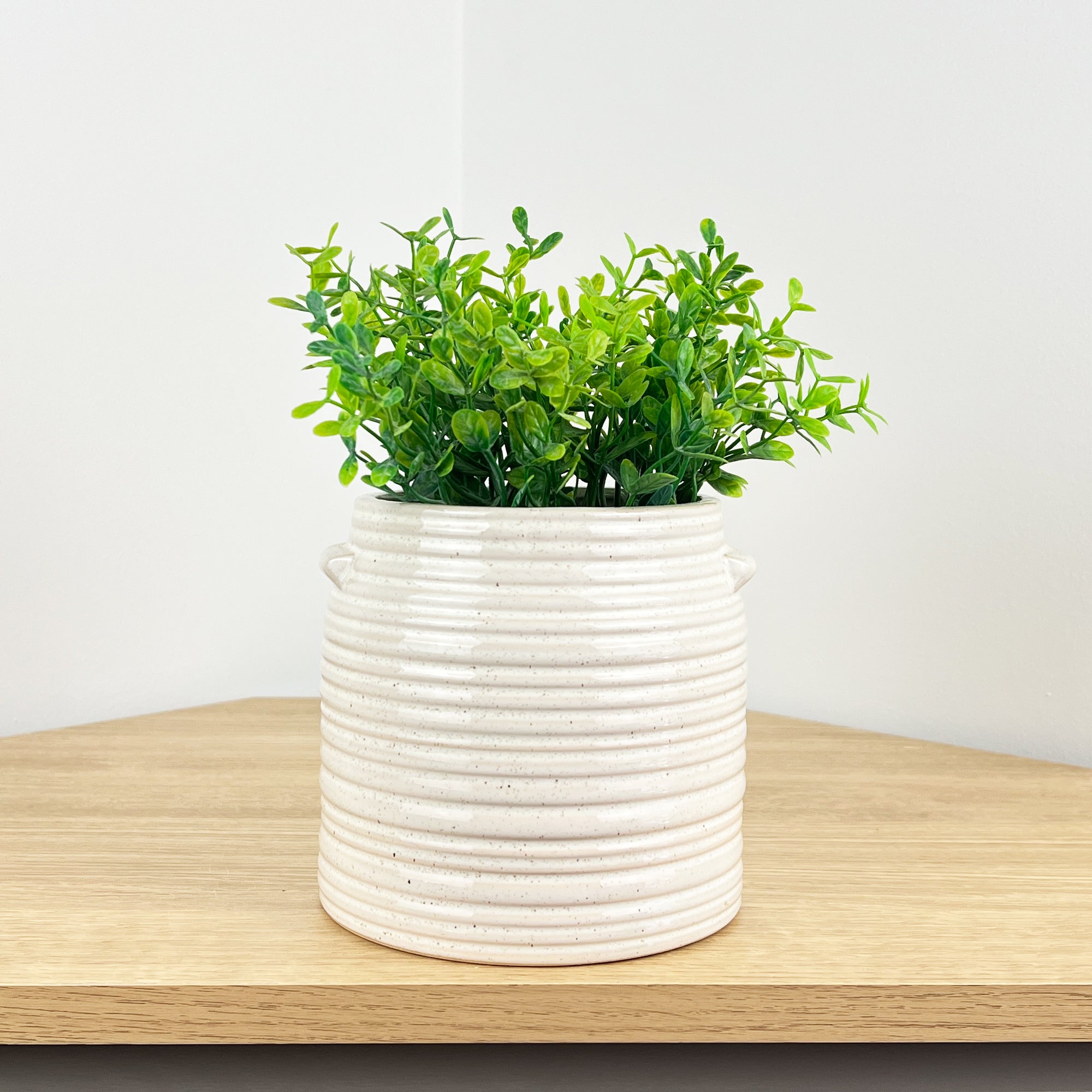 Ribbed Ceramic Plant Pot Holder - Neutral Home Decoration