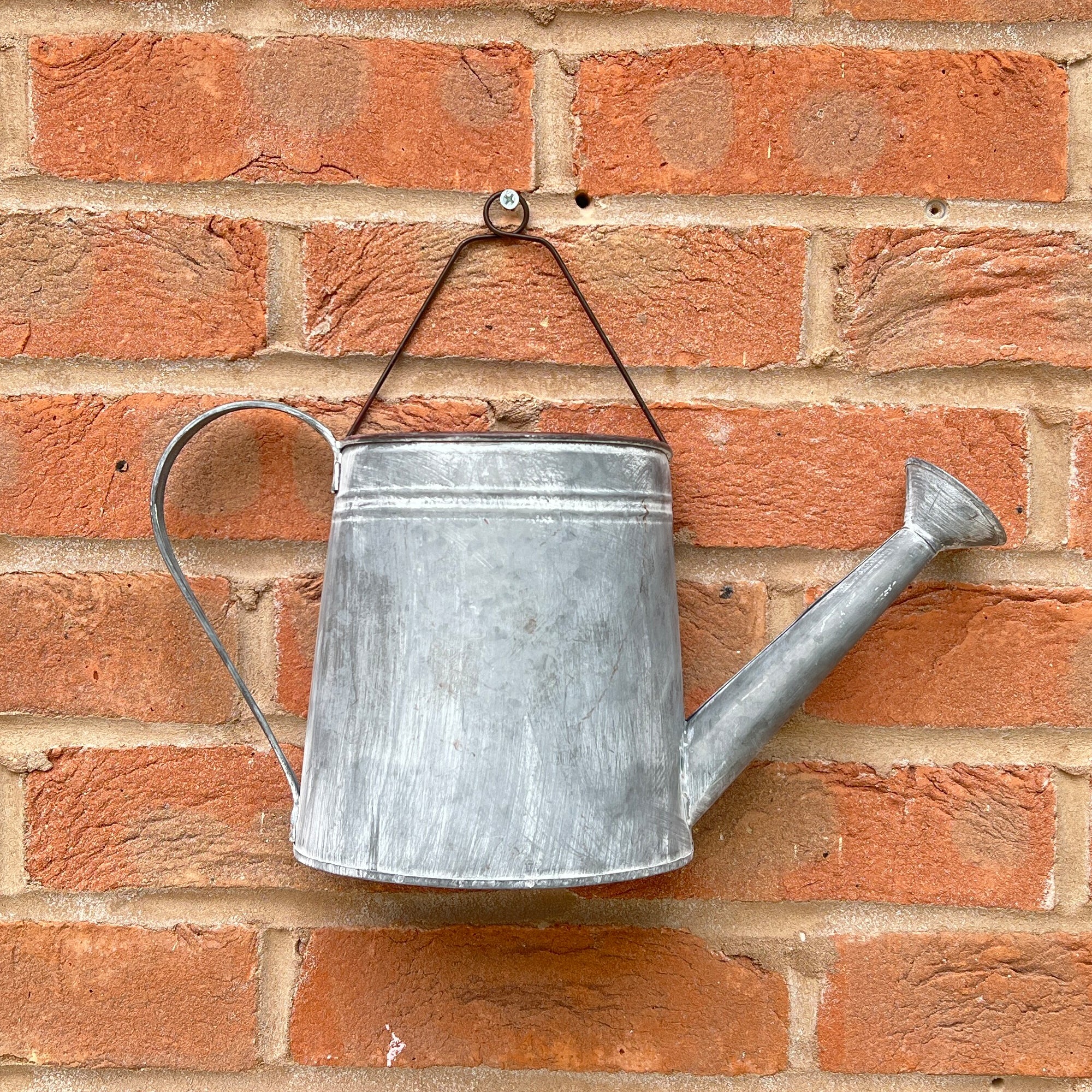 Watering Can Wall Planter