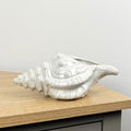 22cm Conch Shell Ornament - Ceramic