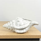 22cm Conch Shell Ornament - Ceramic