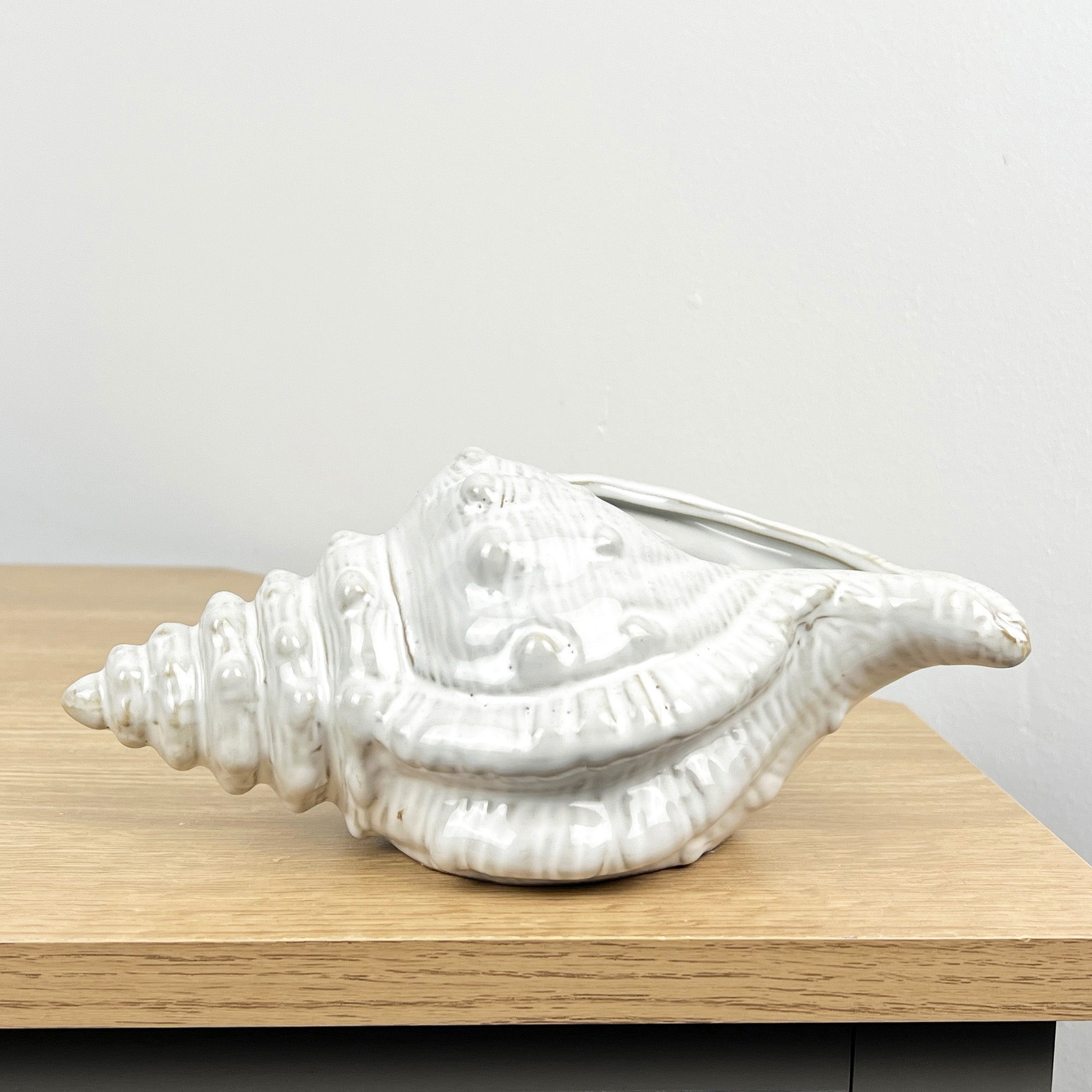 22cm Conch Shell Ornament - Ceramic