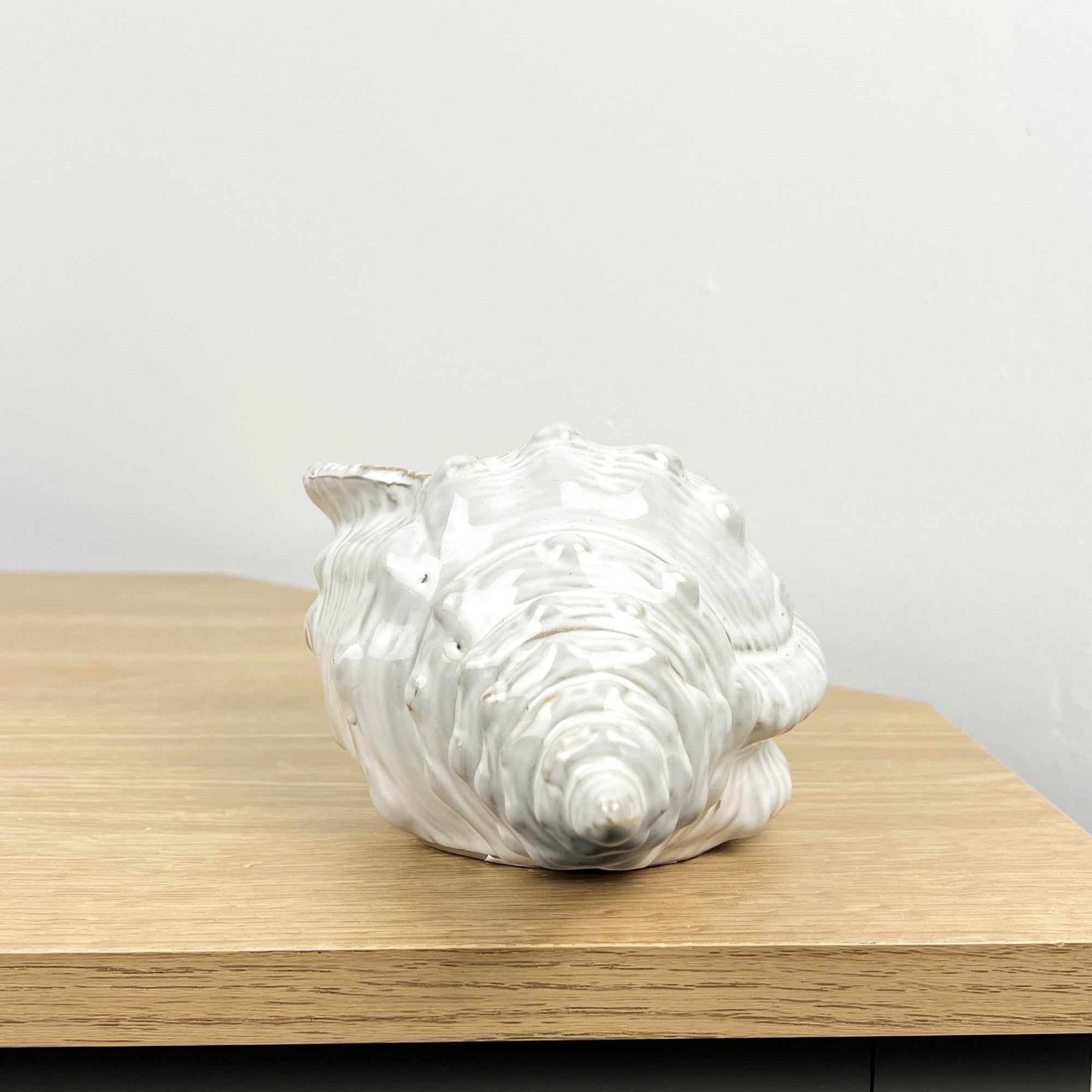 22cm Conch Shell Ornament - Ceramic