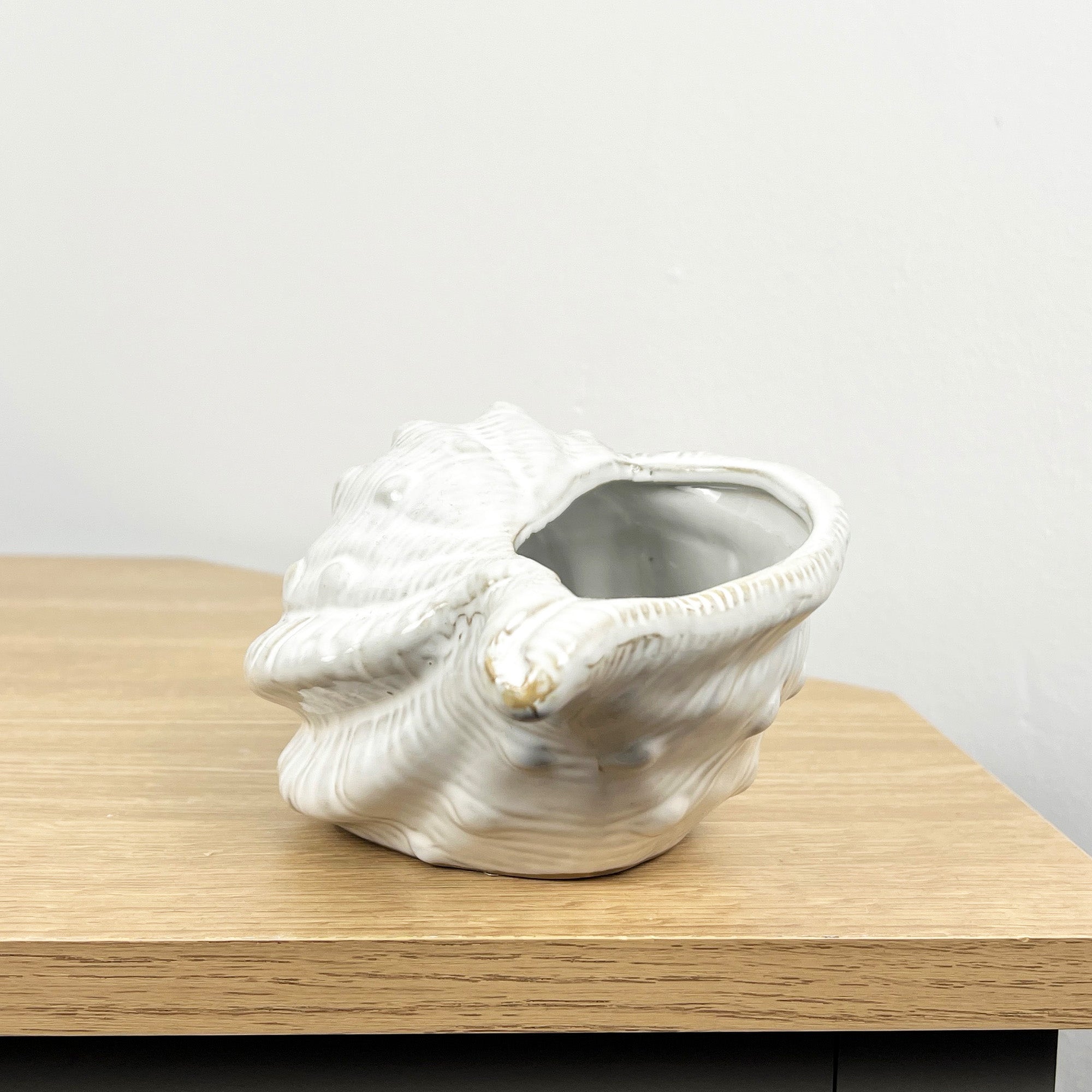 22cm Conch Shell Ornament - Ceramic
