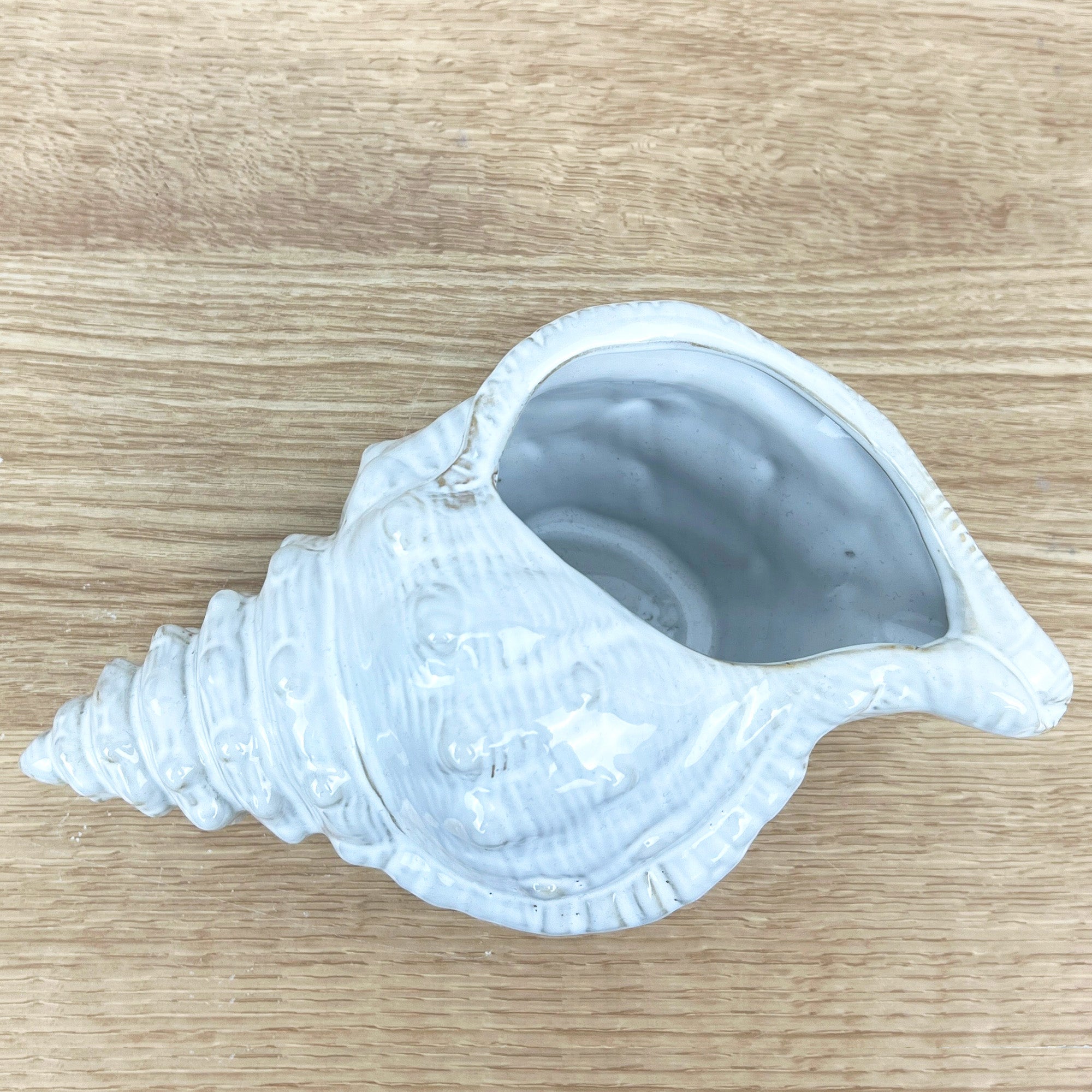 22cm Conch Shell Ornament - Ceramic