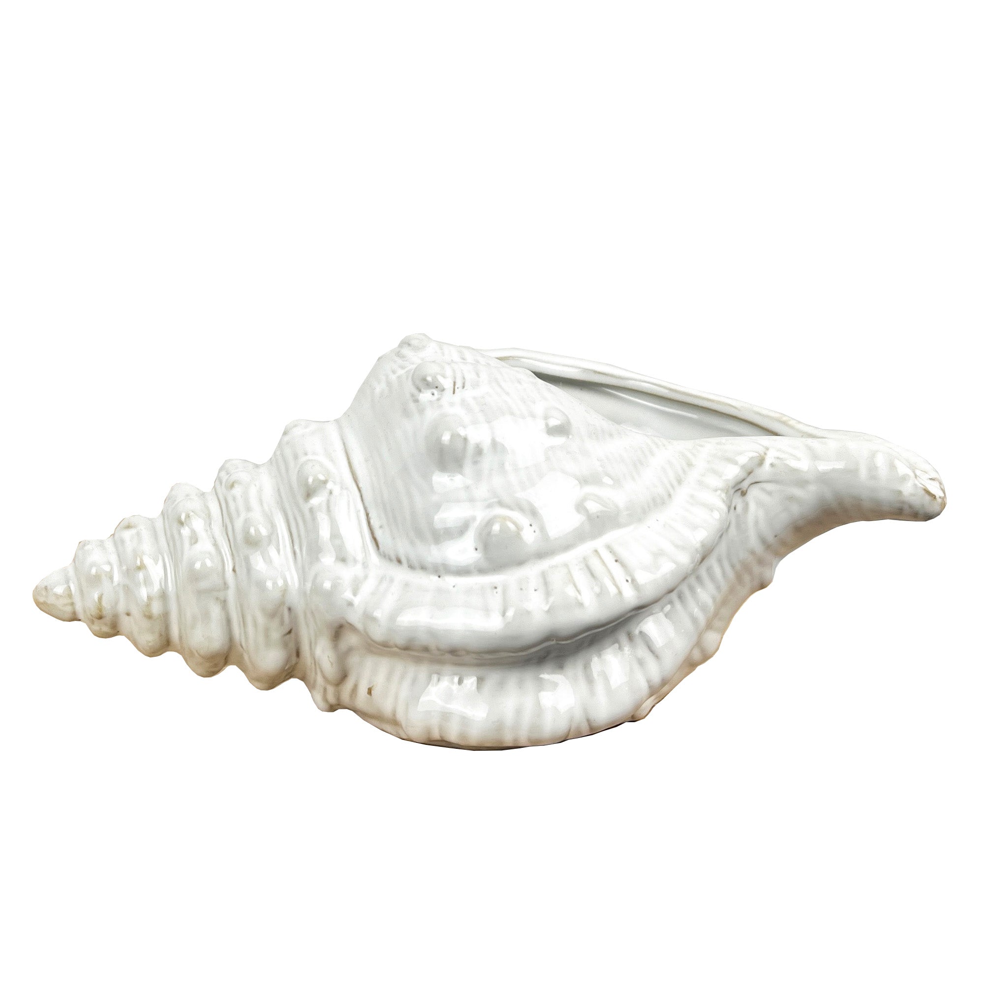 22cm Conch Shell Ornament - Ceramic