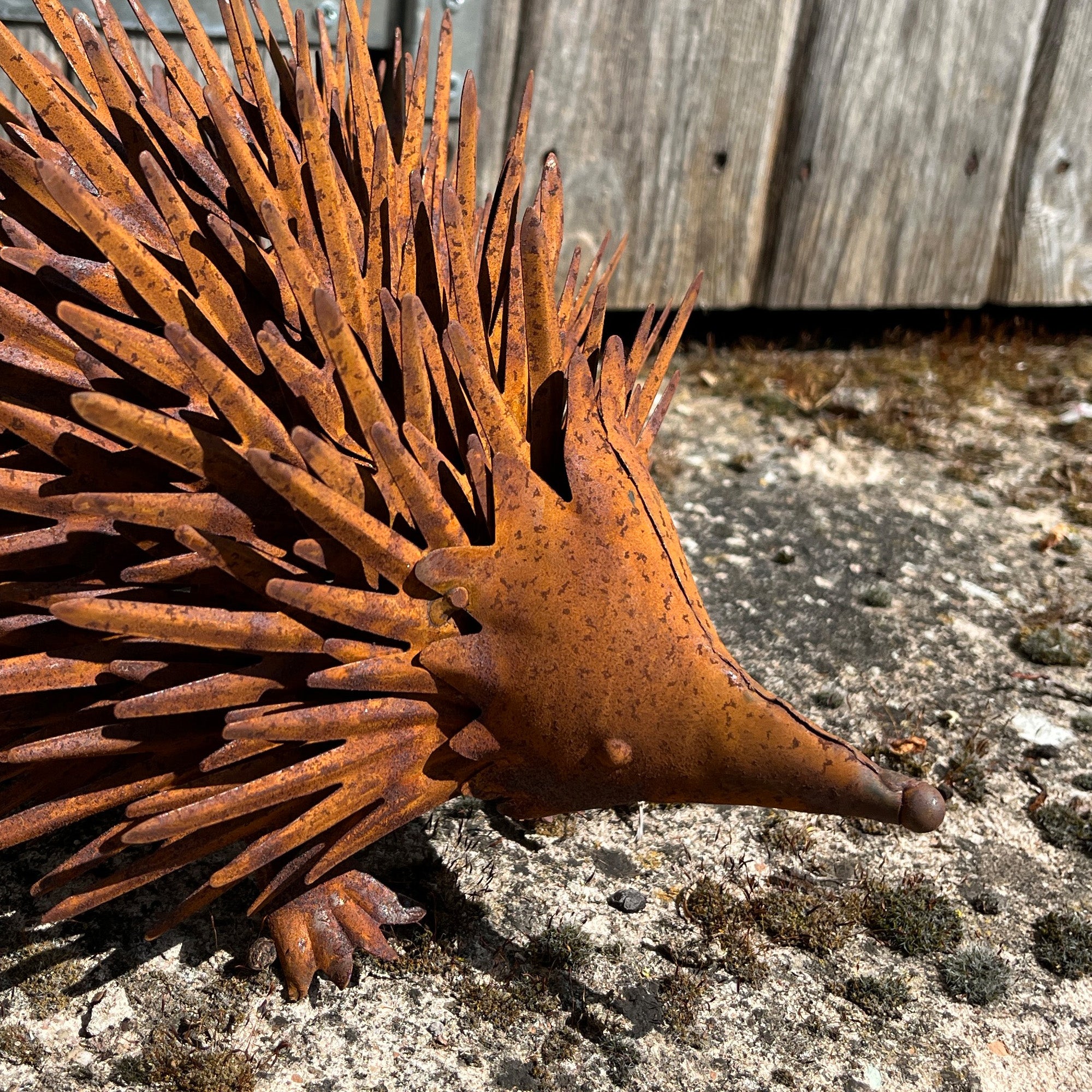 Rusty Hedgehog Garden Ornament - Metal