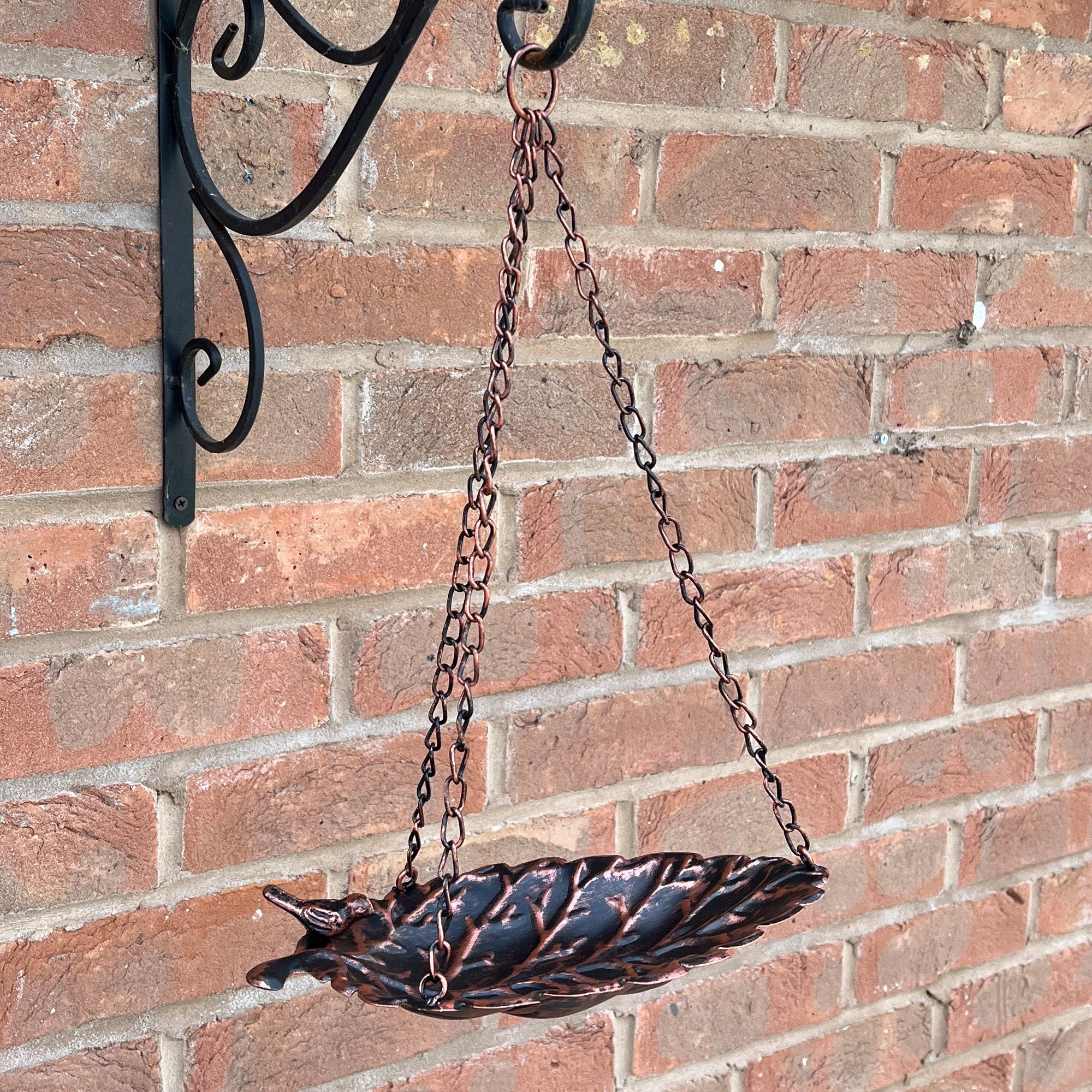 Bird on Leaf Hanging Bird Feeder - Metal