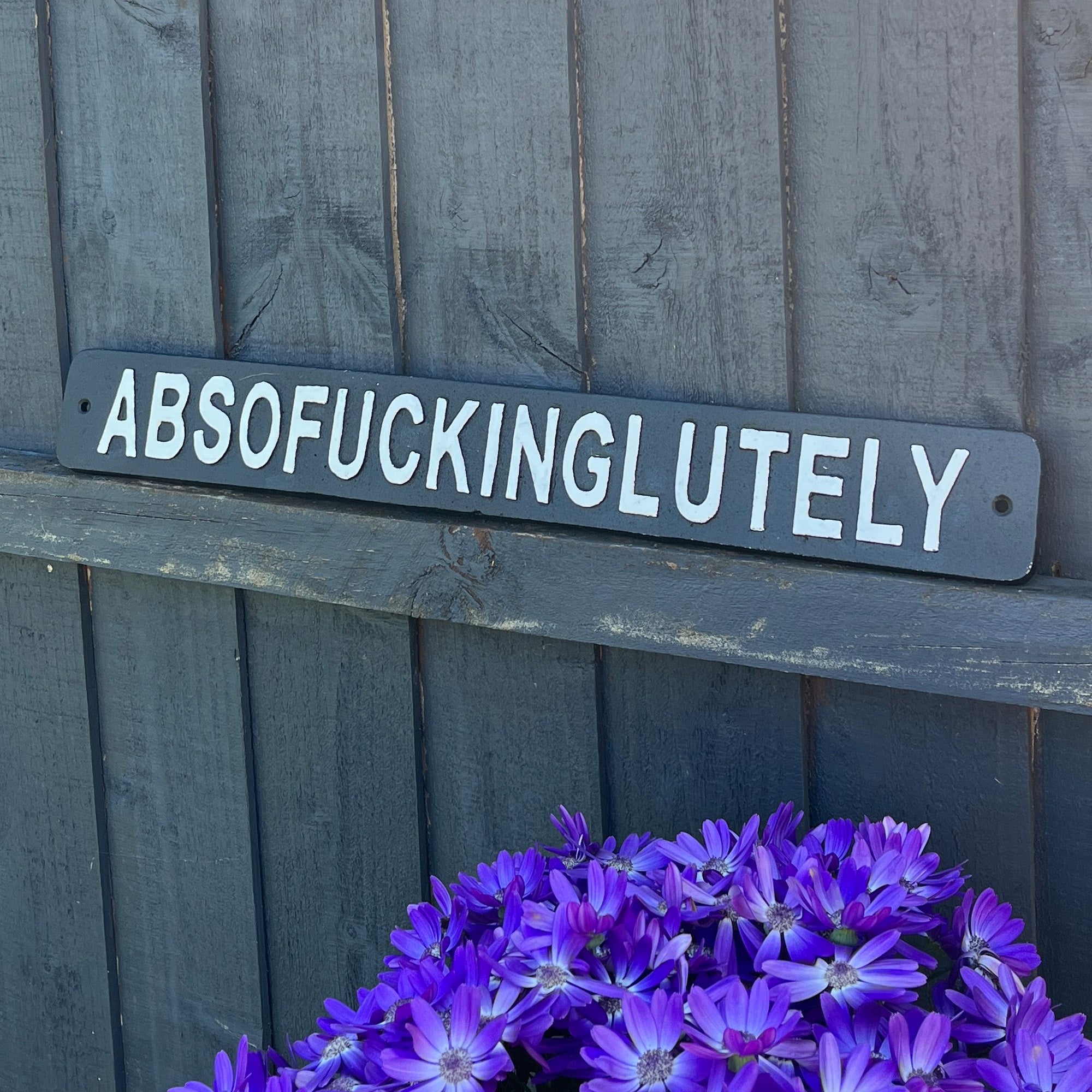 49.5cm 'Absofuckinglutely' Funny Cast Iron Wall Sign