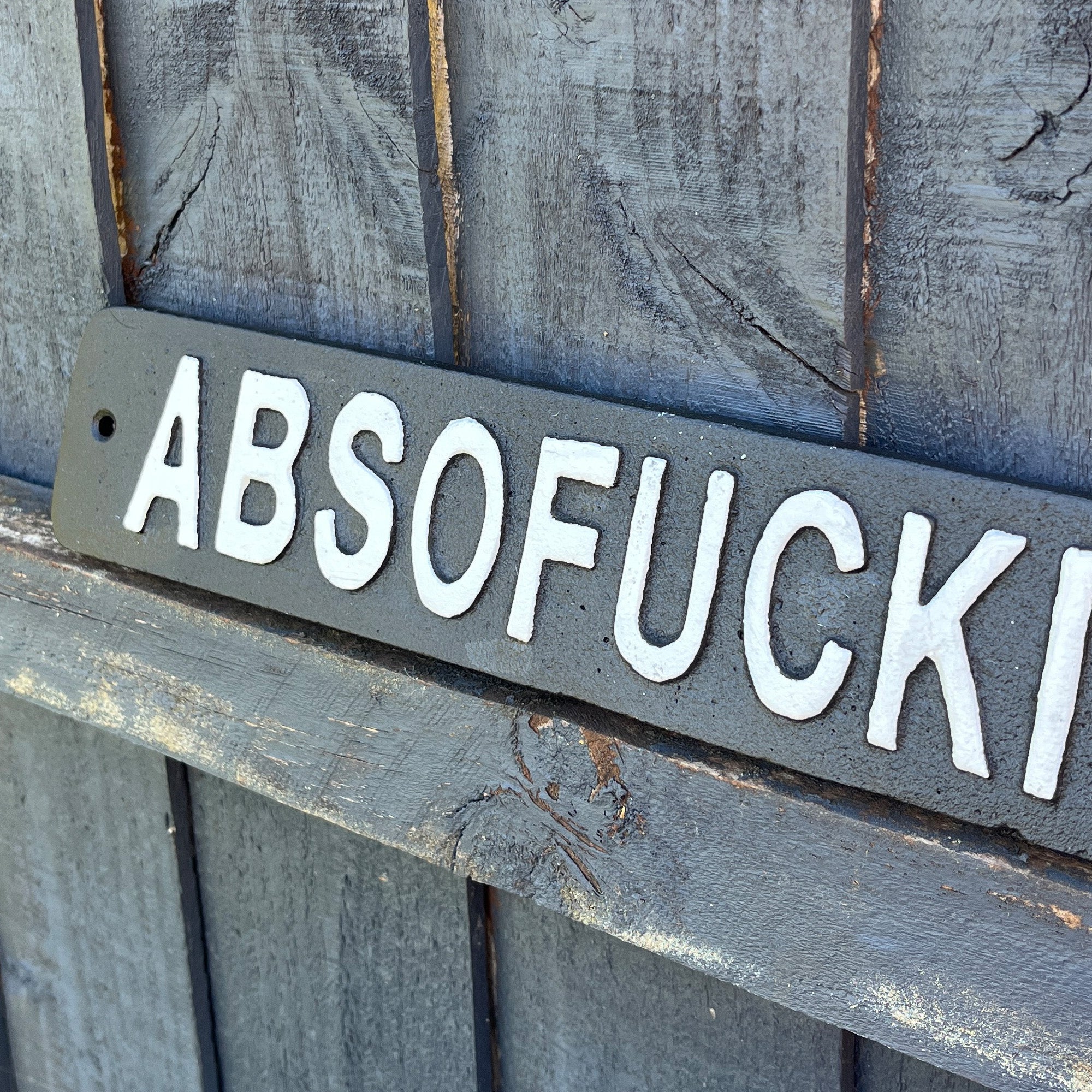 49.5cm 'Absofuckinglutely' Funny Cast Iron Wall Sign