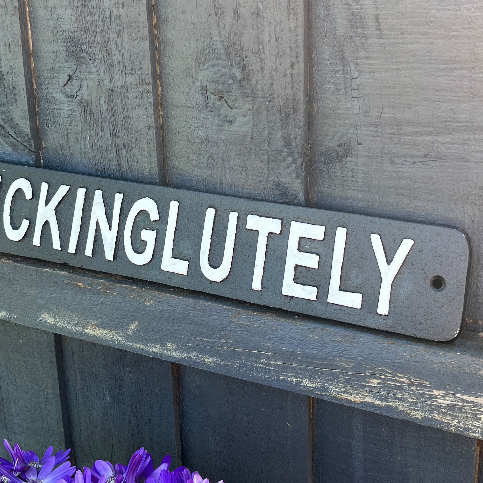 49.5cm 'Absofuckinglutely' Funny Cast Iron Wall Sign