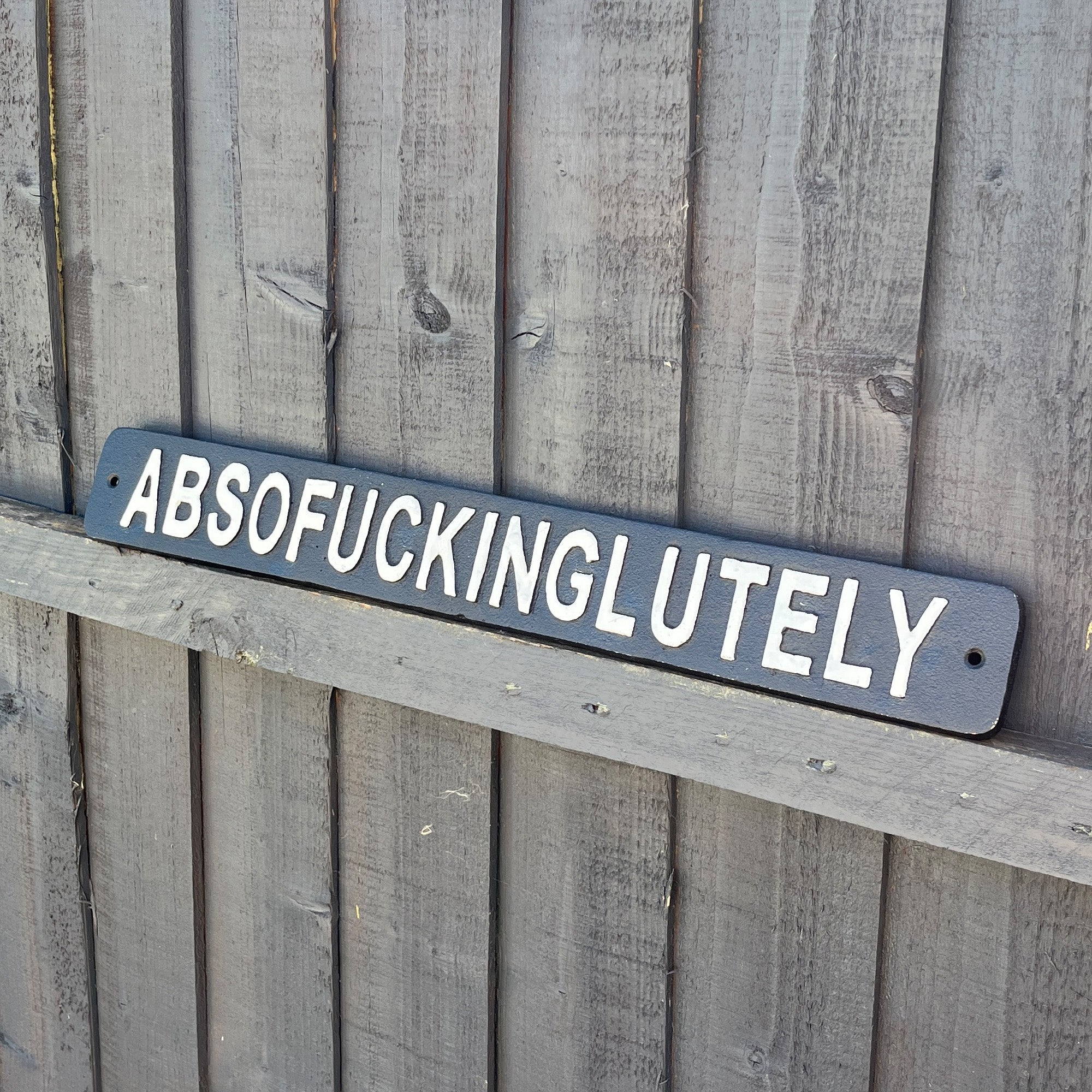 49.5cm 'Absofuckinglutely' Funny Cast Iron Wall Sign
