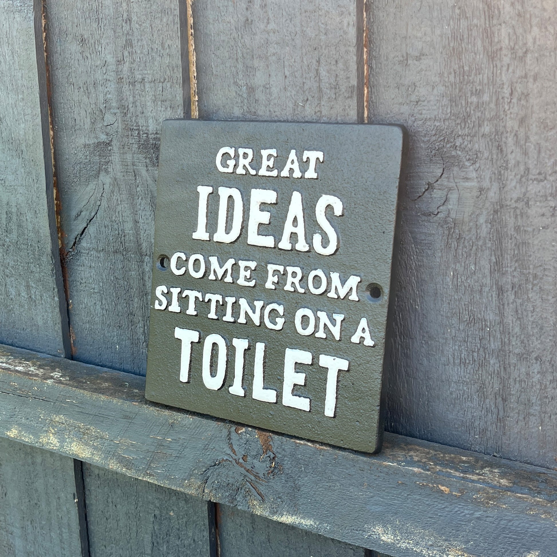 'Great Ideas Come From Sitting on a Toilet' Funny Wall Sign / Plaque