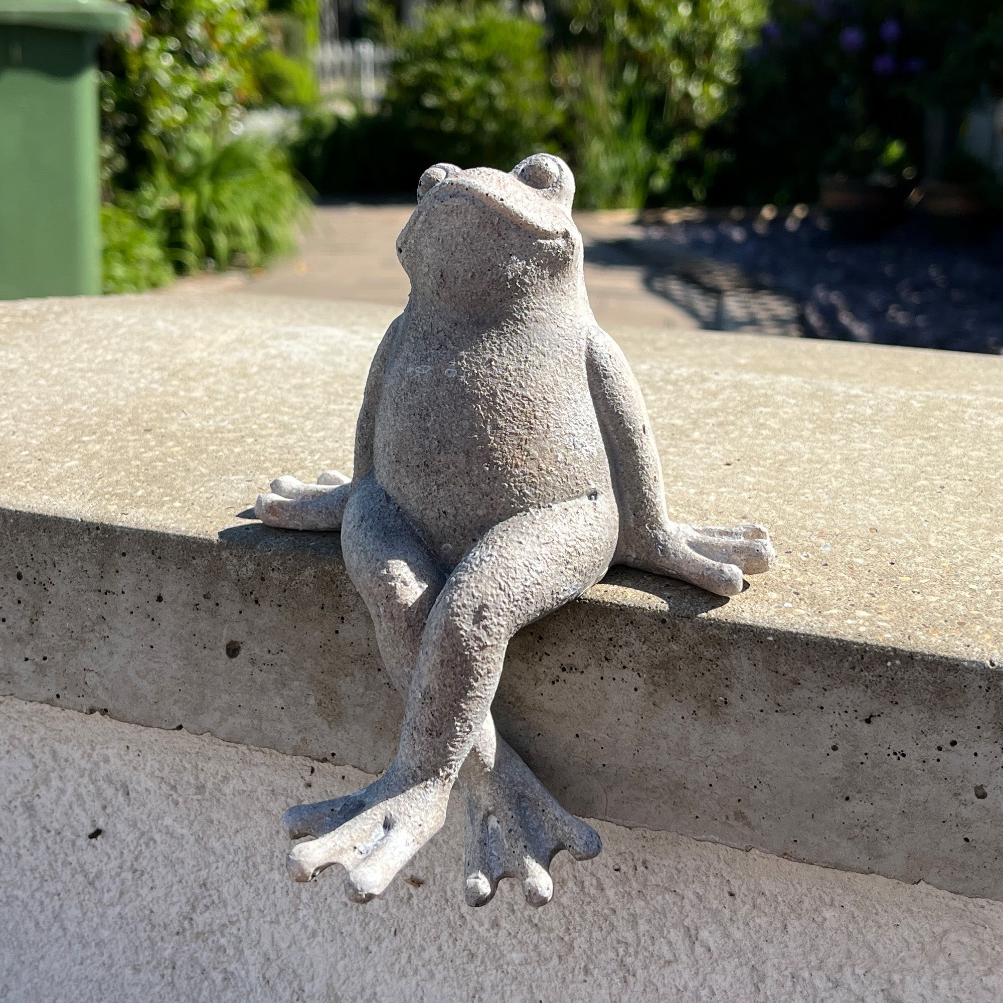 Frog Garden Wall Ornament - Resin
