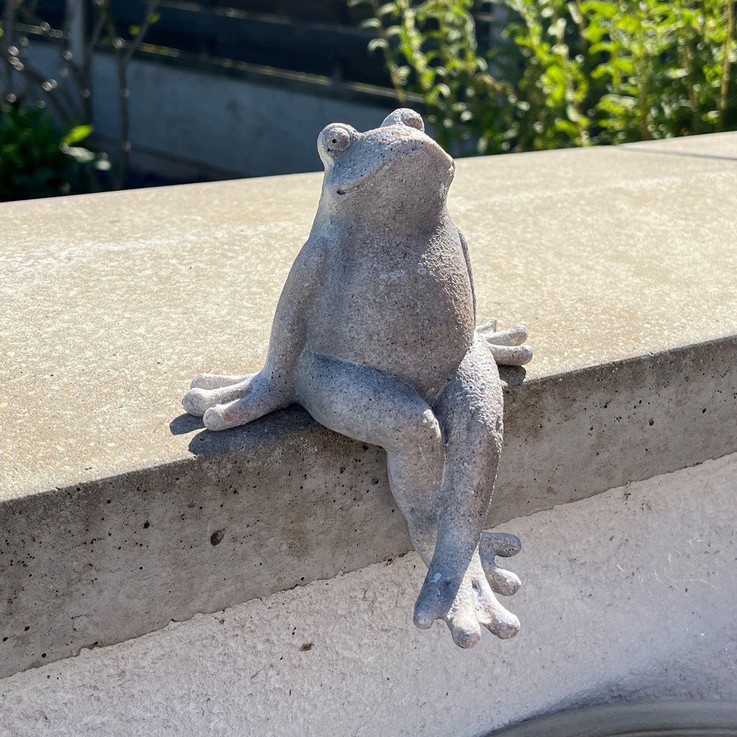 Frog Garden Wall Ornament - Resin